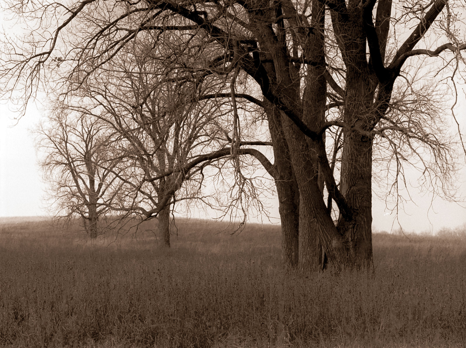 Neal Smith National Wildlife Refuge, Iowa