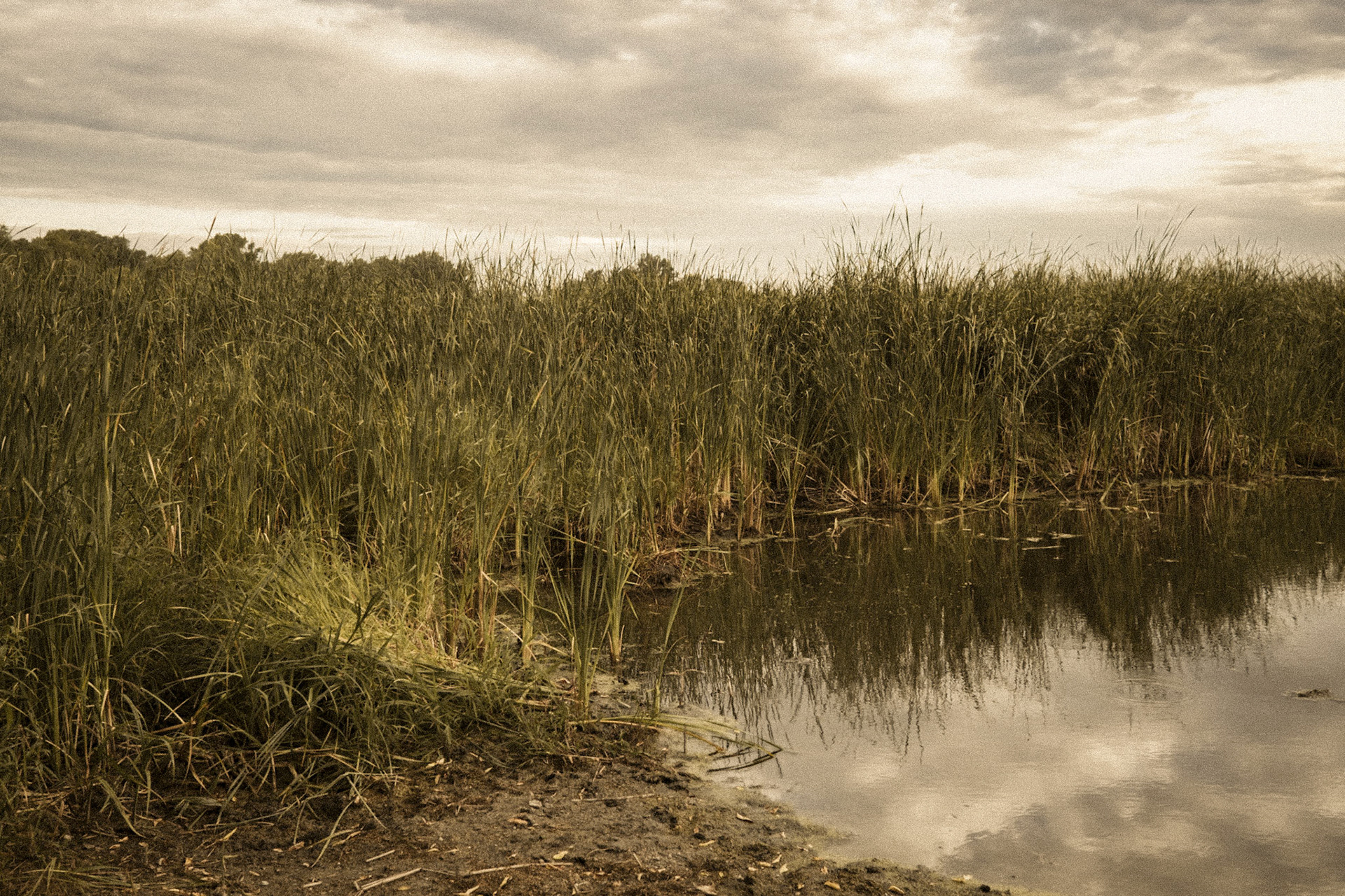 Diamond Lake Wildlife Management Area, Iowa