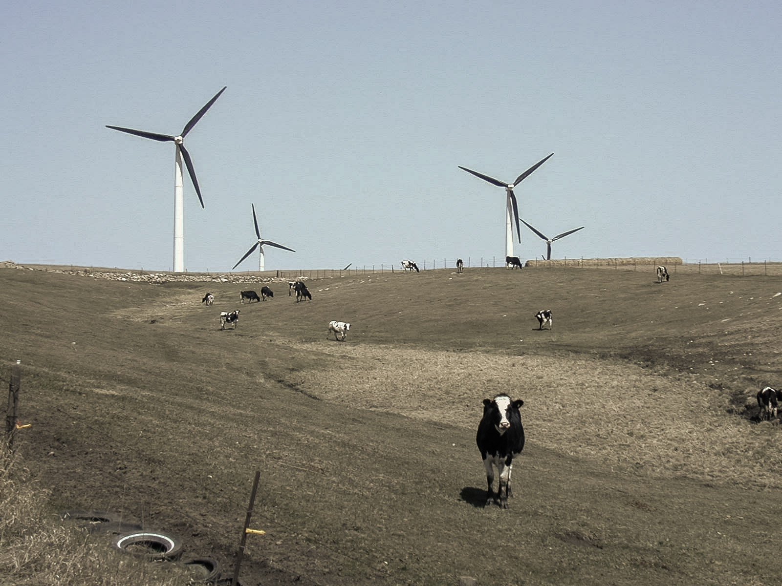 Earth Day, Rock County, Minnesota
