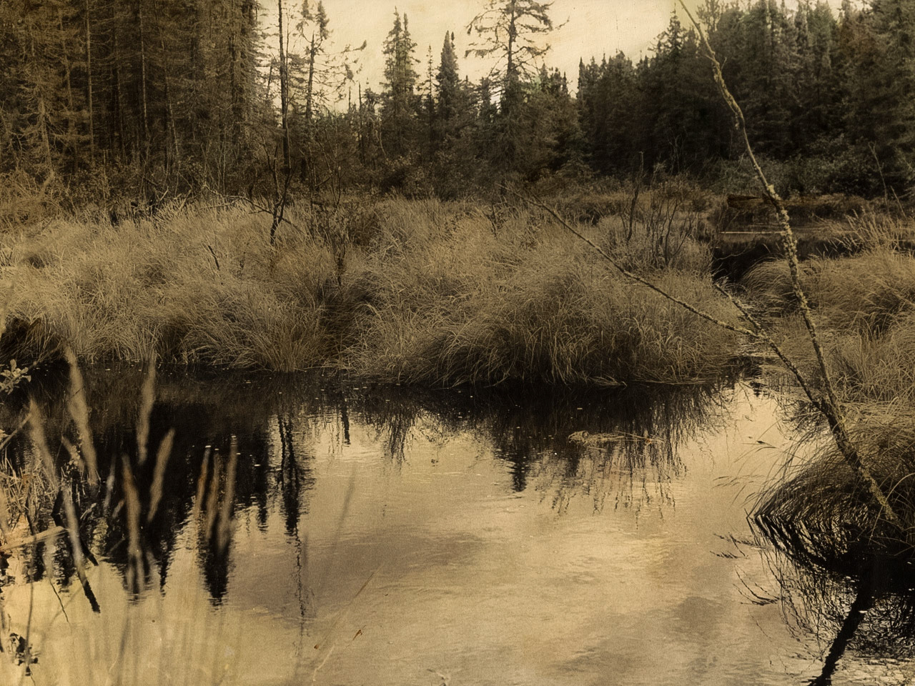 Lake One, Boundary Waters, Minnesota