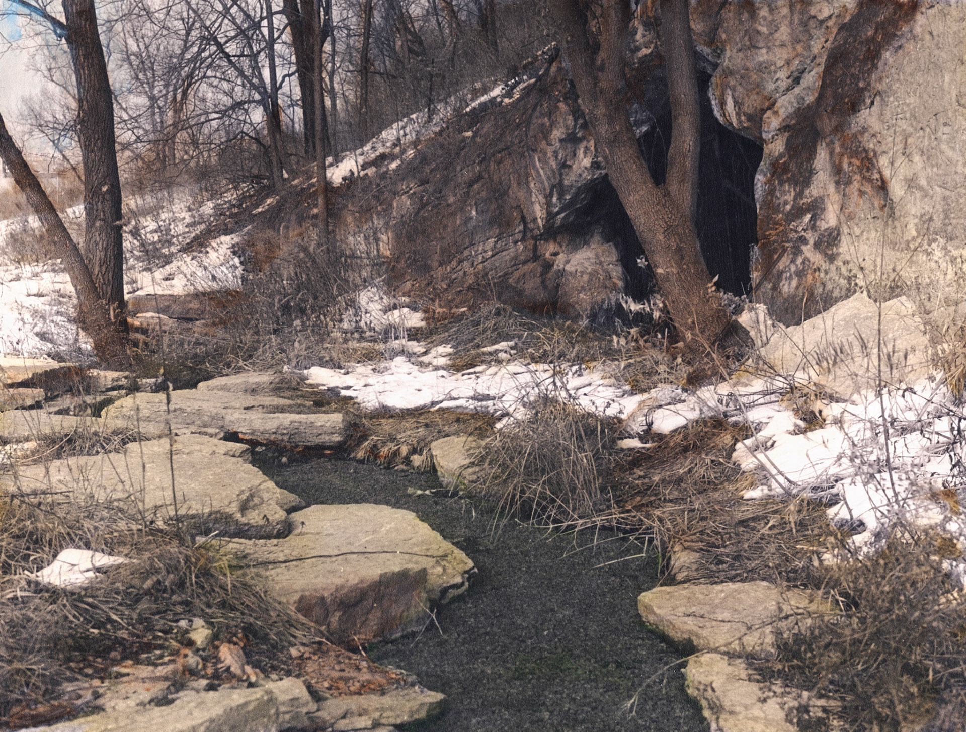 Bruce Vento Nature Sanctuary, Minnesota
