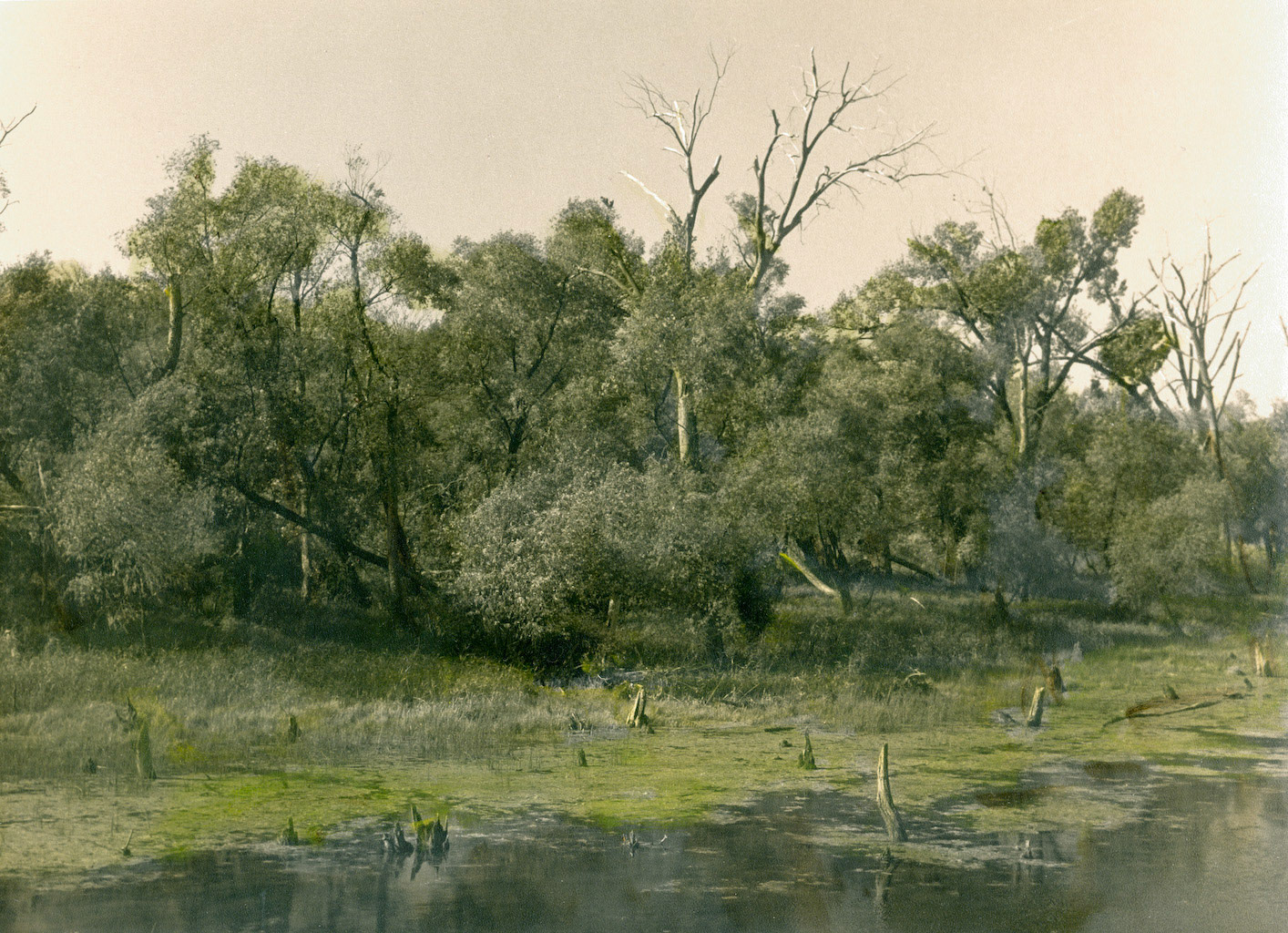 Landscape, Minnesota