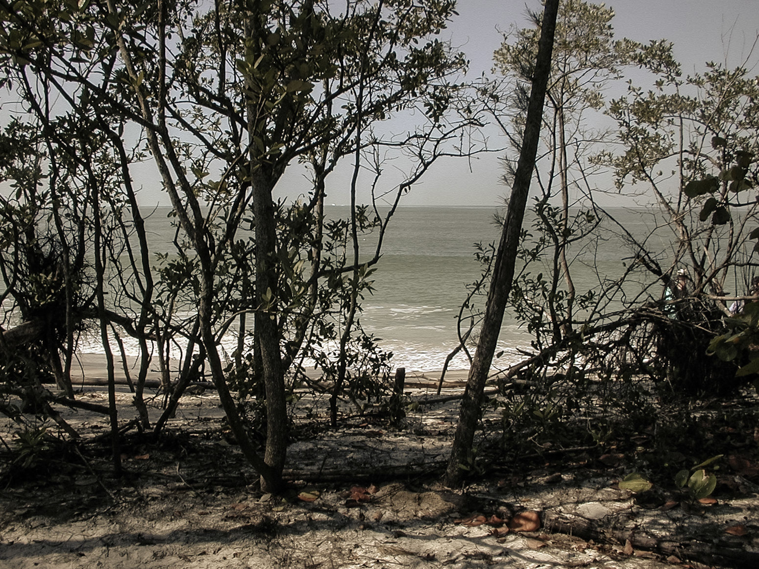 Fort Myers, Florida