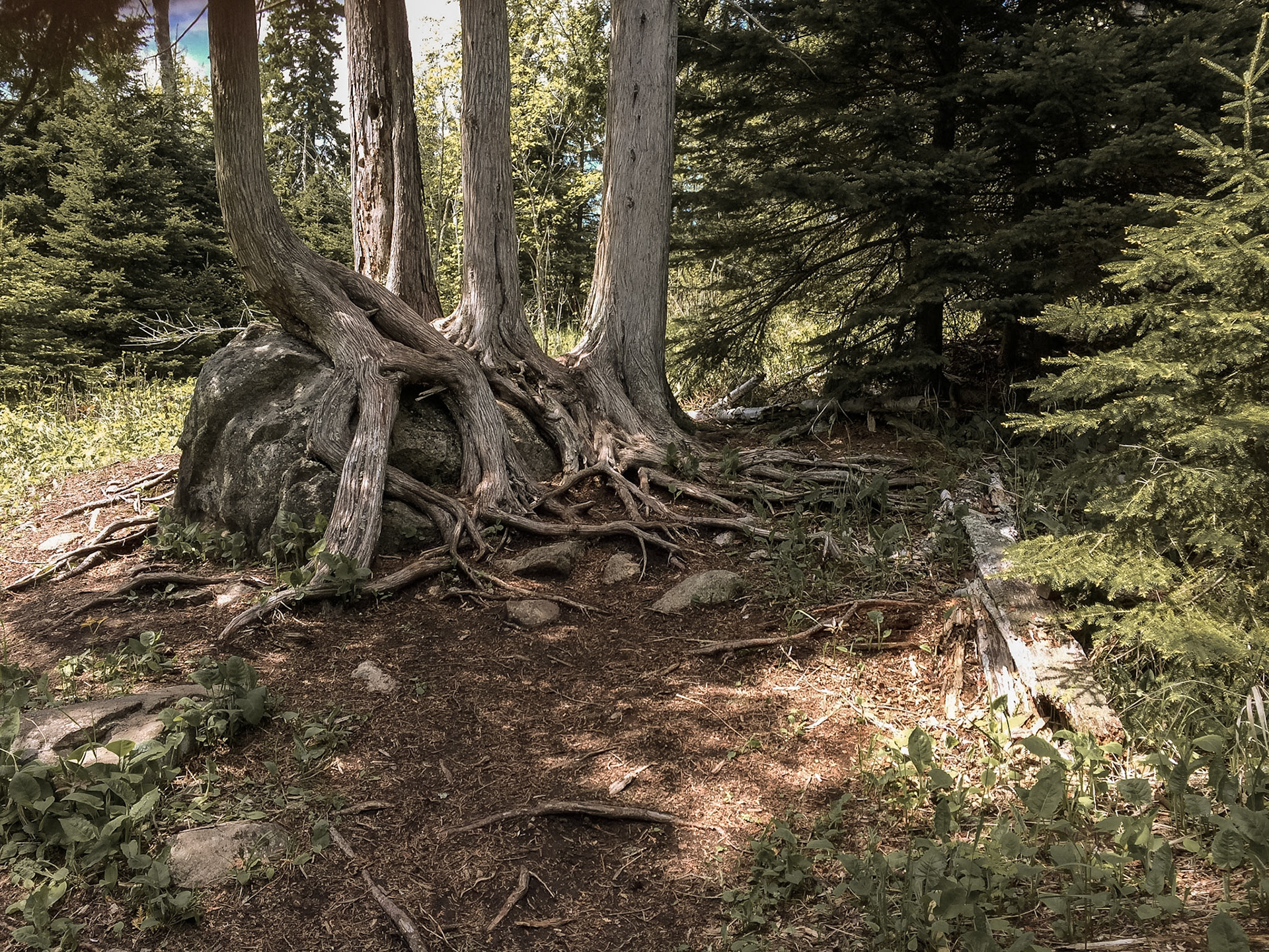 Tettegouche State Park, Minnesota