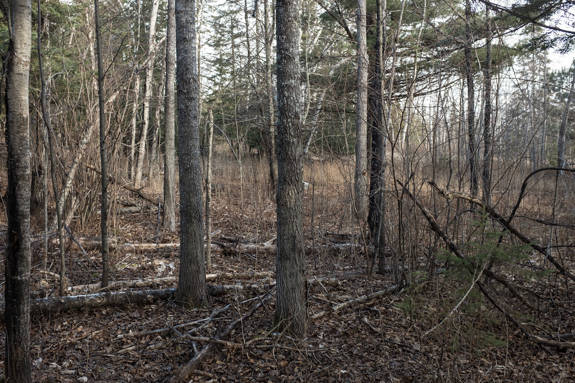 Lake Superor Hiking Trail