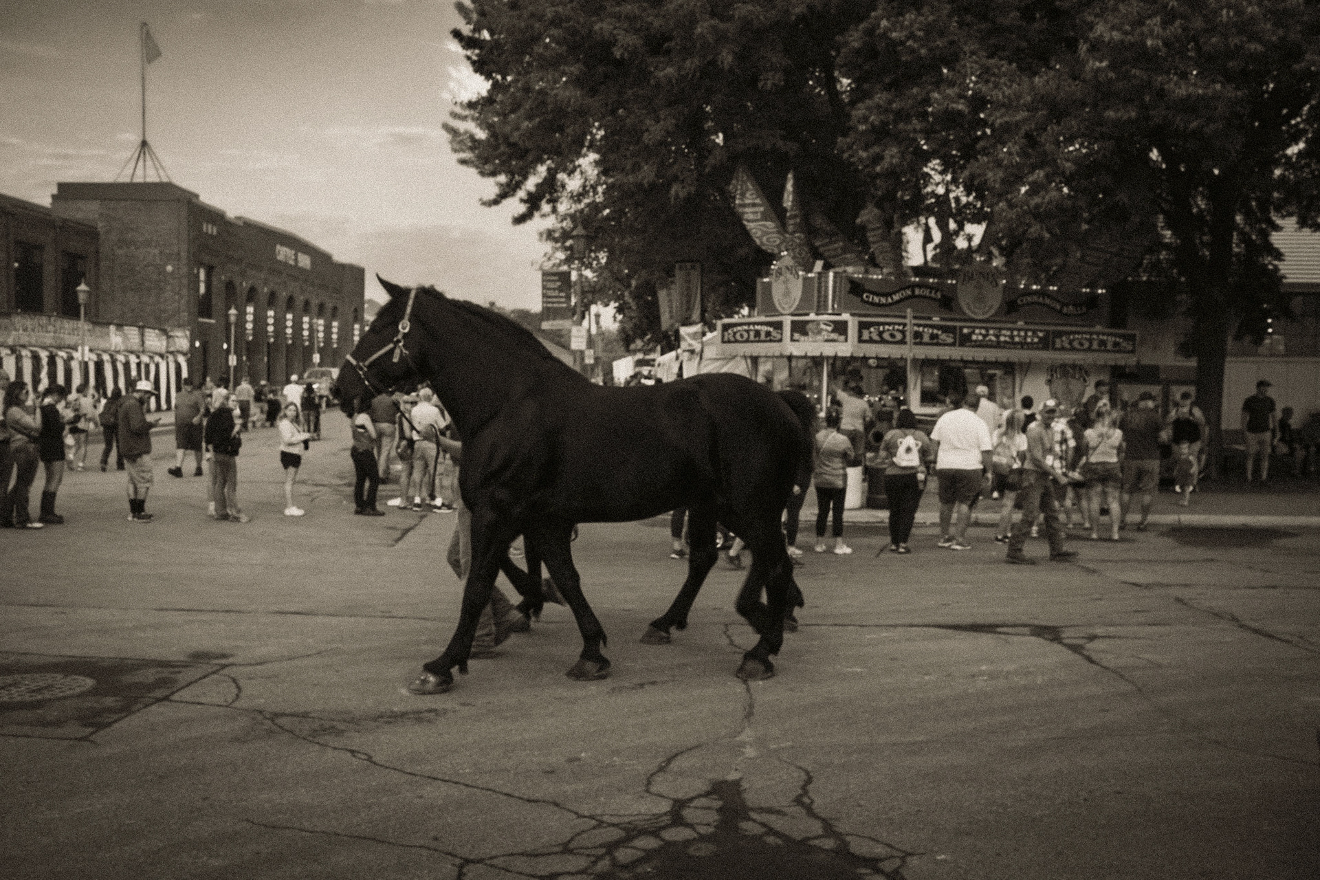 Minnesota State Fair,
