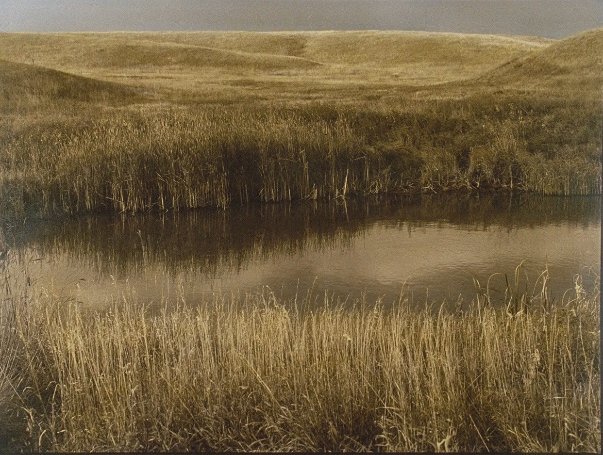 Prairie Coteau Scientific Nature Area, Minnesota, 1990-47-02