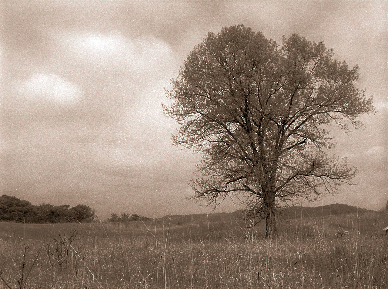 Landscape, Minnesota