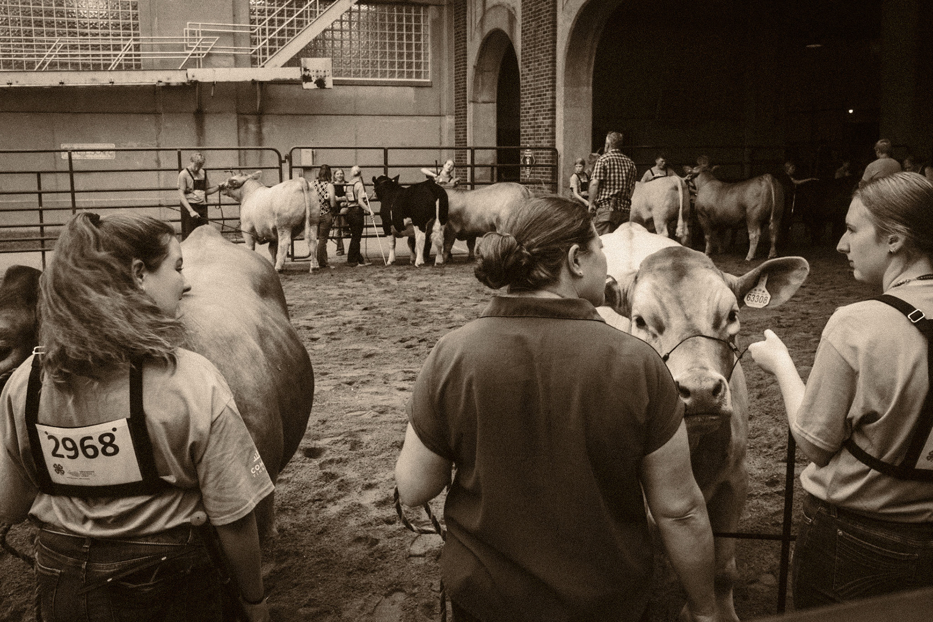 Minnesota State Fair