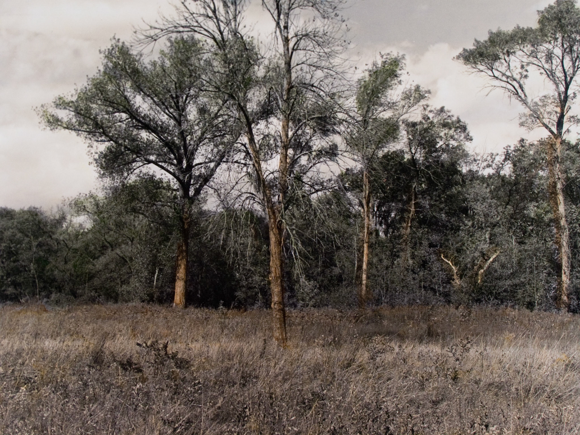 Lower Sioux Agency, MN