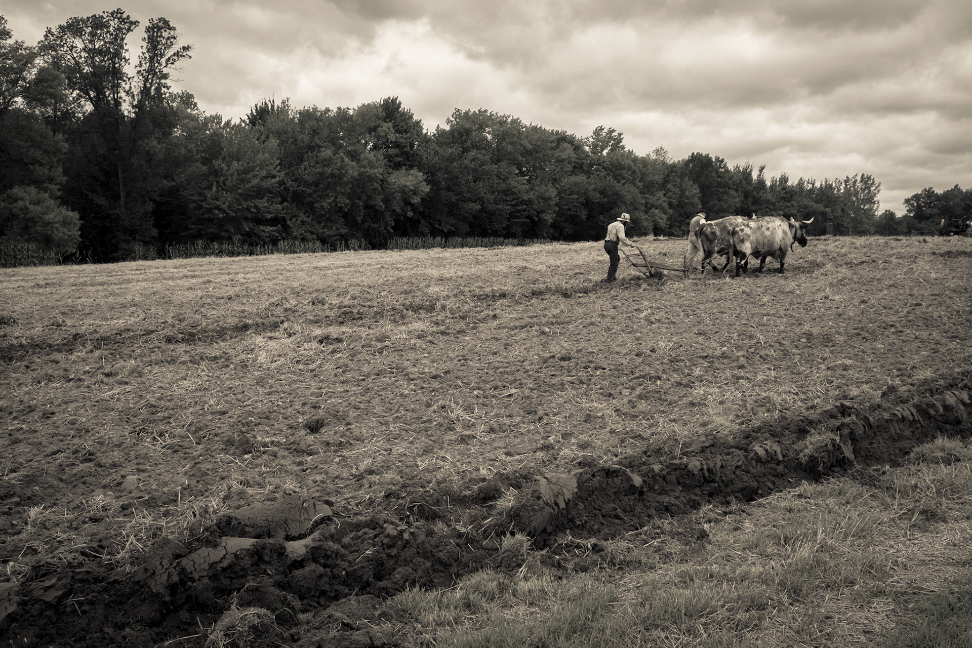 Nowthen Threshing Show, Anoka, Minnesota