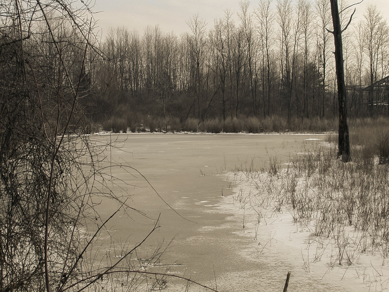 Pigs Eye Lake, St. Paul, Minnesota