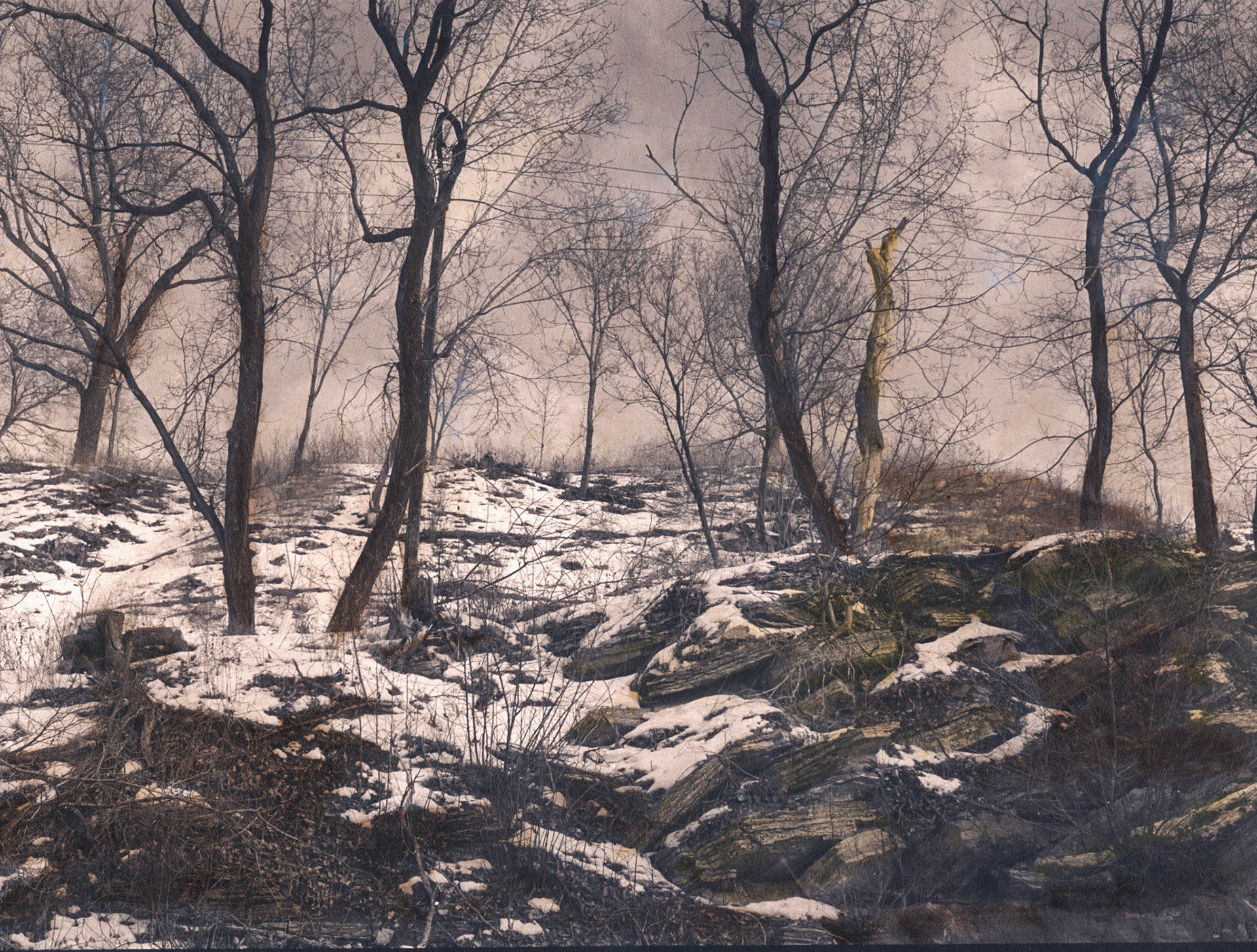 Bruce Vento Nature Sanctuary, Minnesota