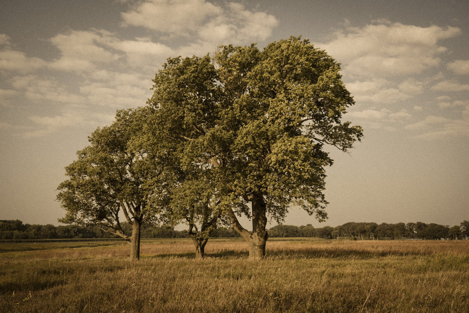 Hales Slough, Dickinson County, Iowa