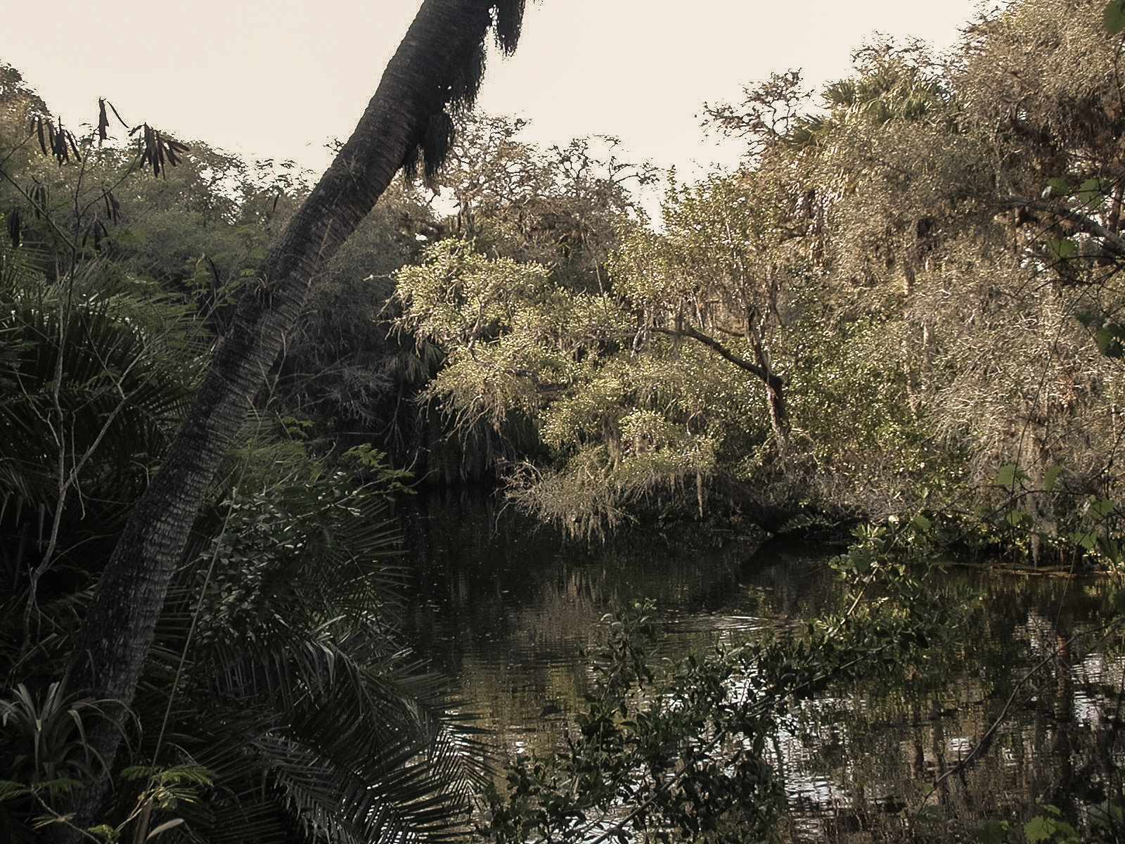 Fort Myers, Florida