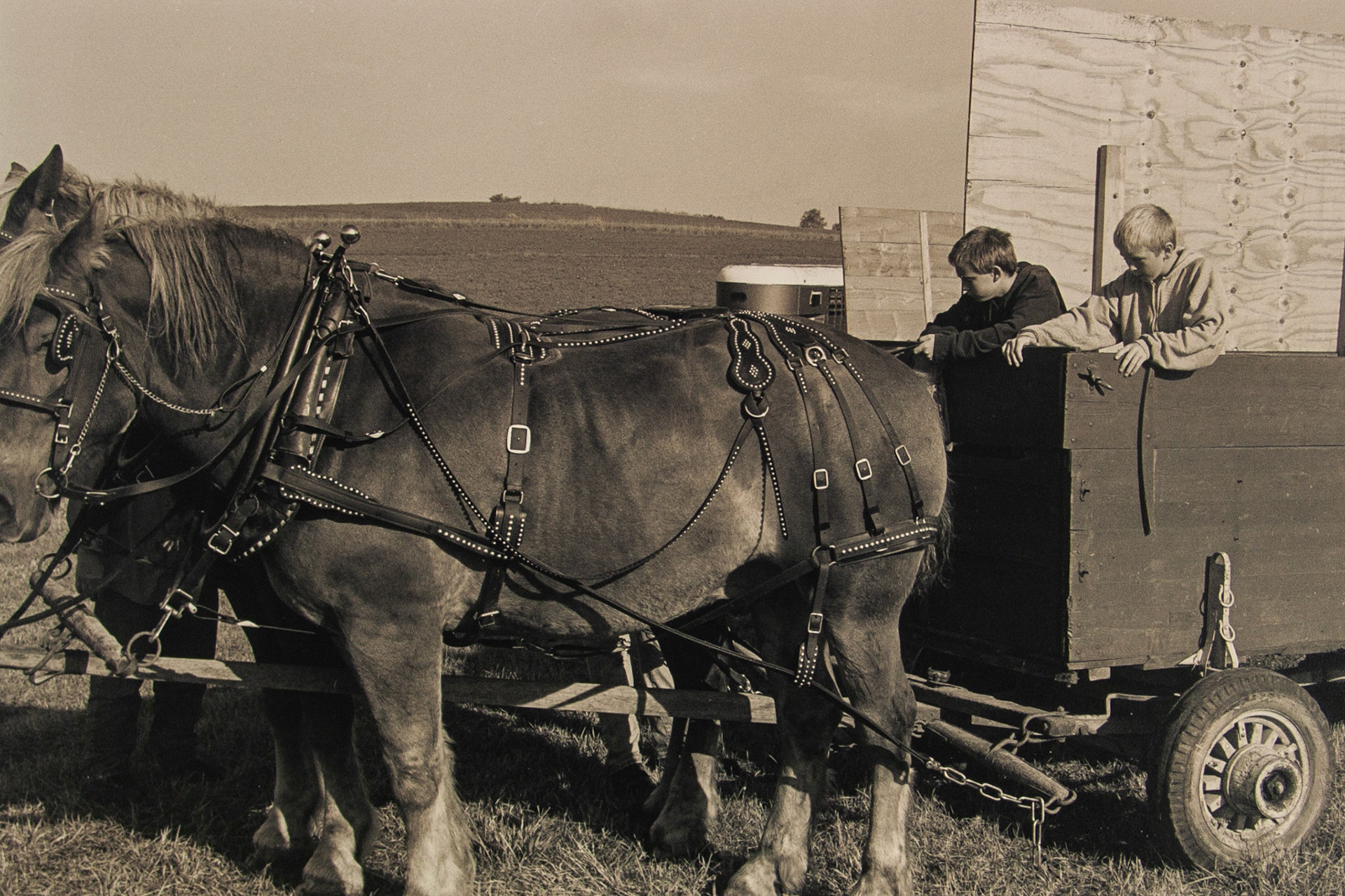 2008 Minnesota State Cornhusking Contest