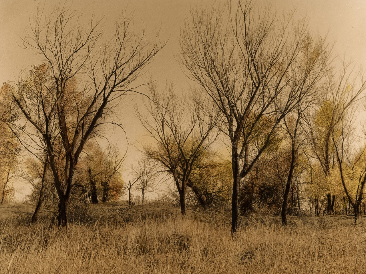 Landscape, Minnesota