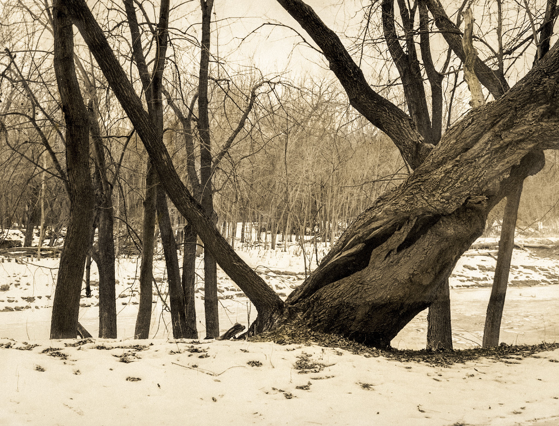 Fort Snelling State Park, 2013-02-51