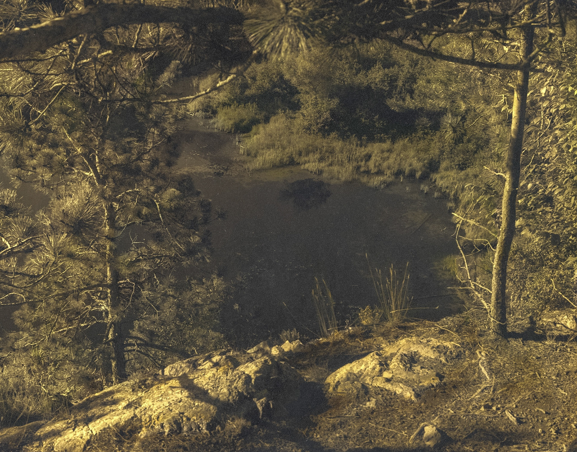 Landscape, Minnesota