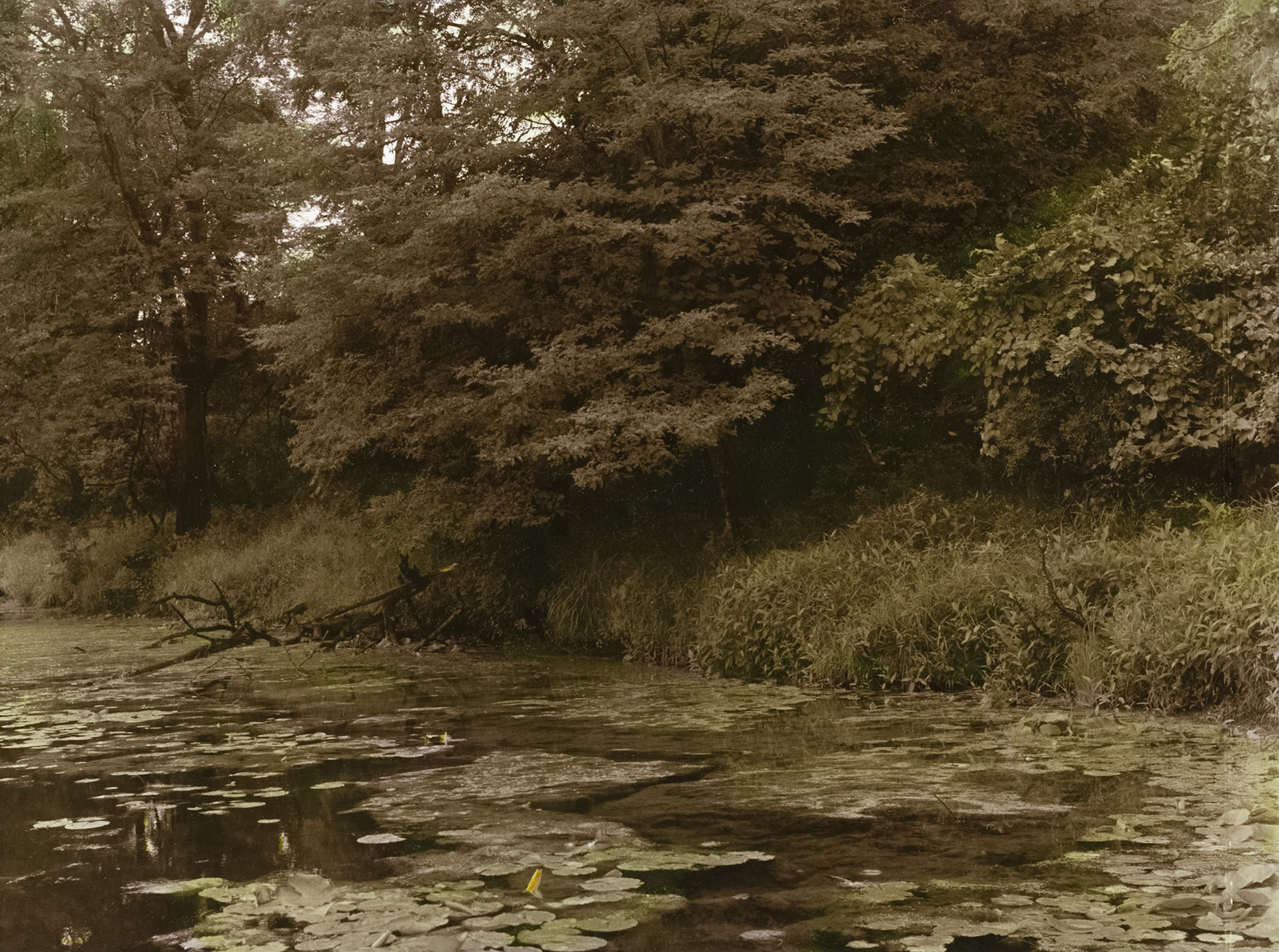 George Wyth State Park, Waterloo, Iowa