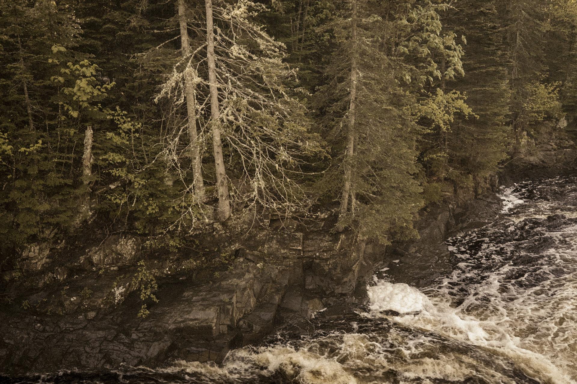 Judge C.R. Magney State Park, MN