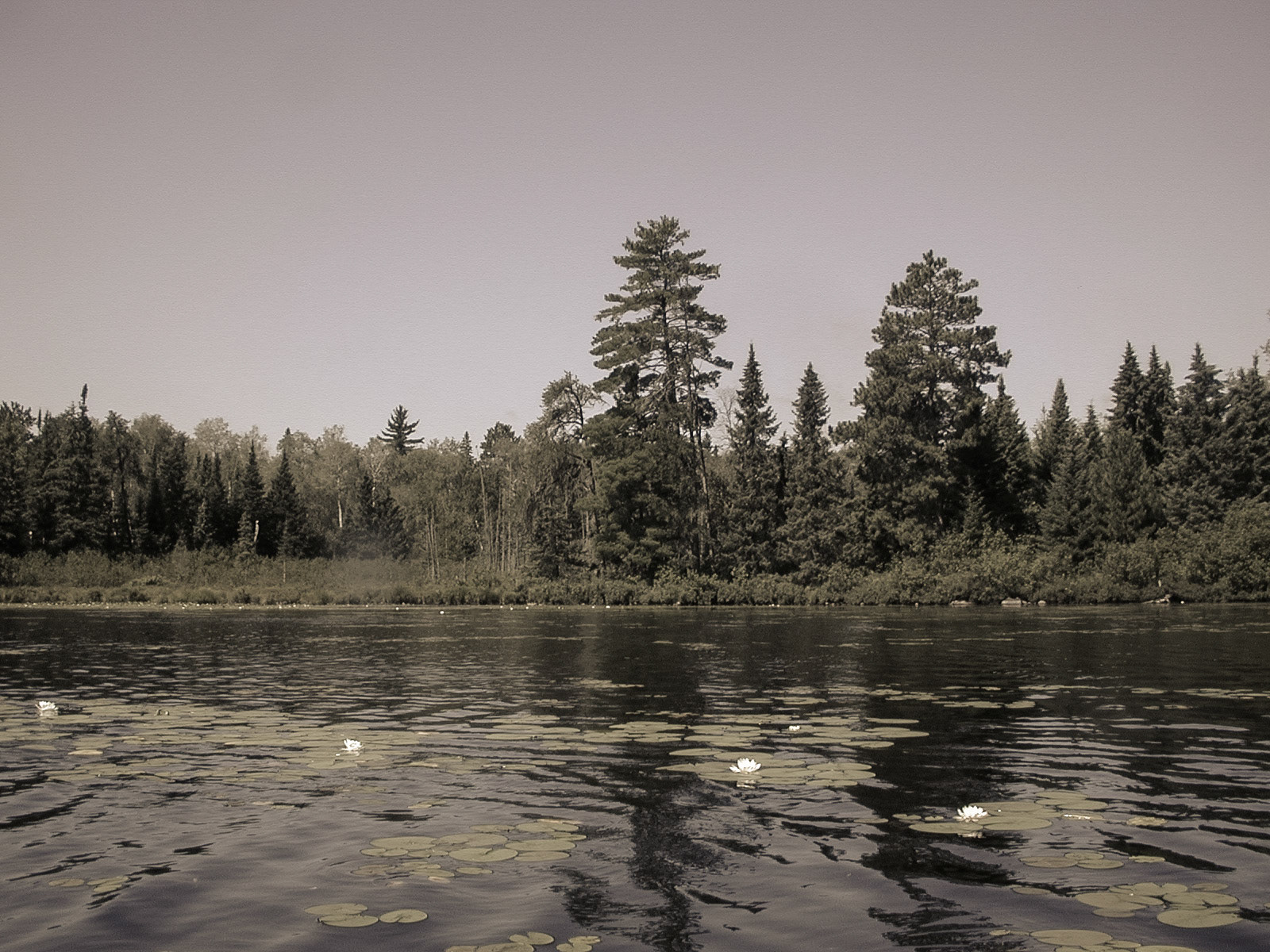 Mud Lake, south of Ely, Minnesota