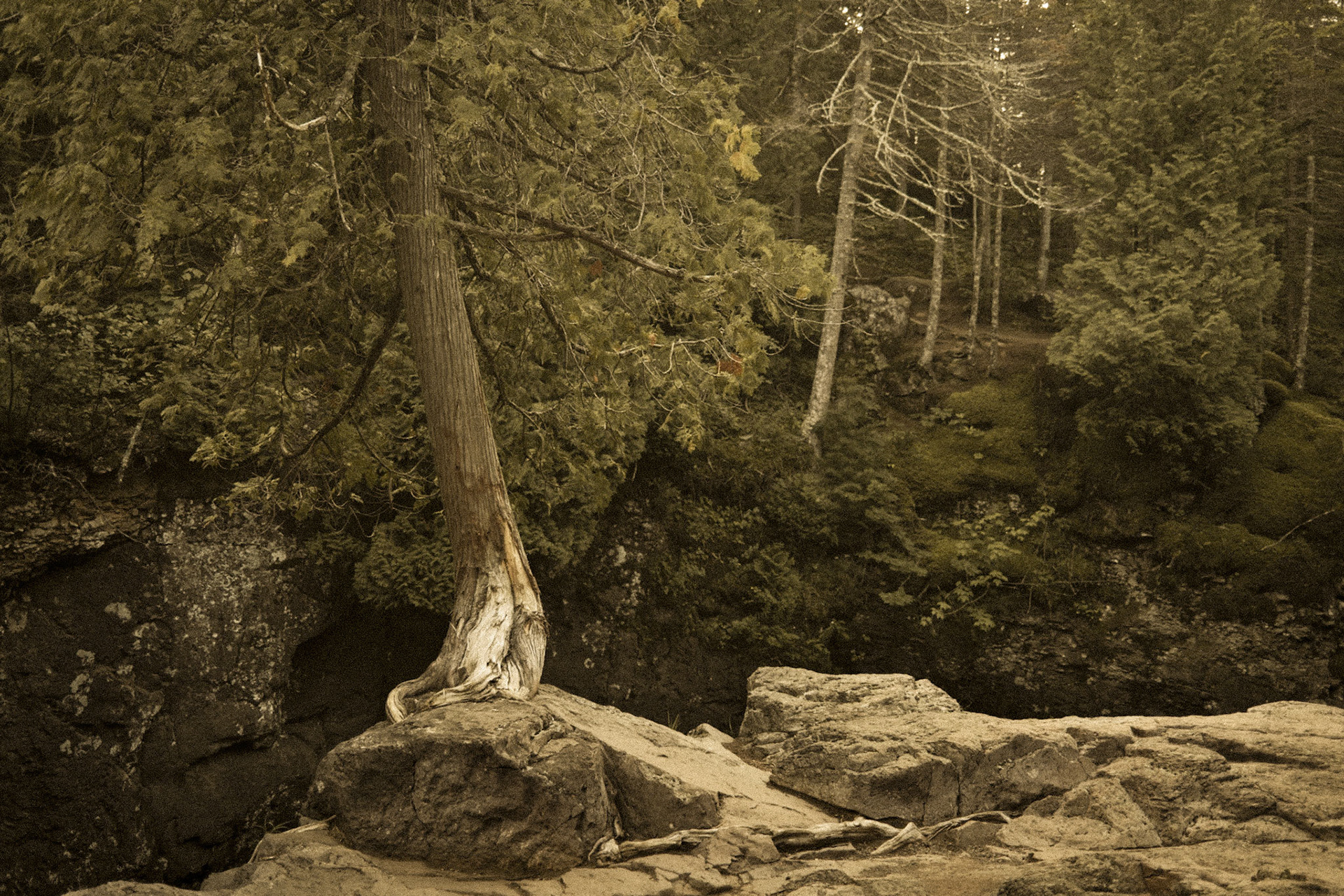 Cascade River State Park, MN