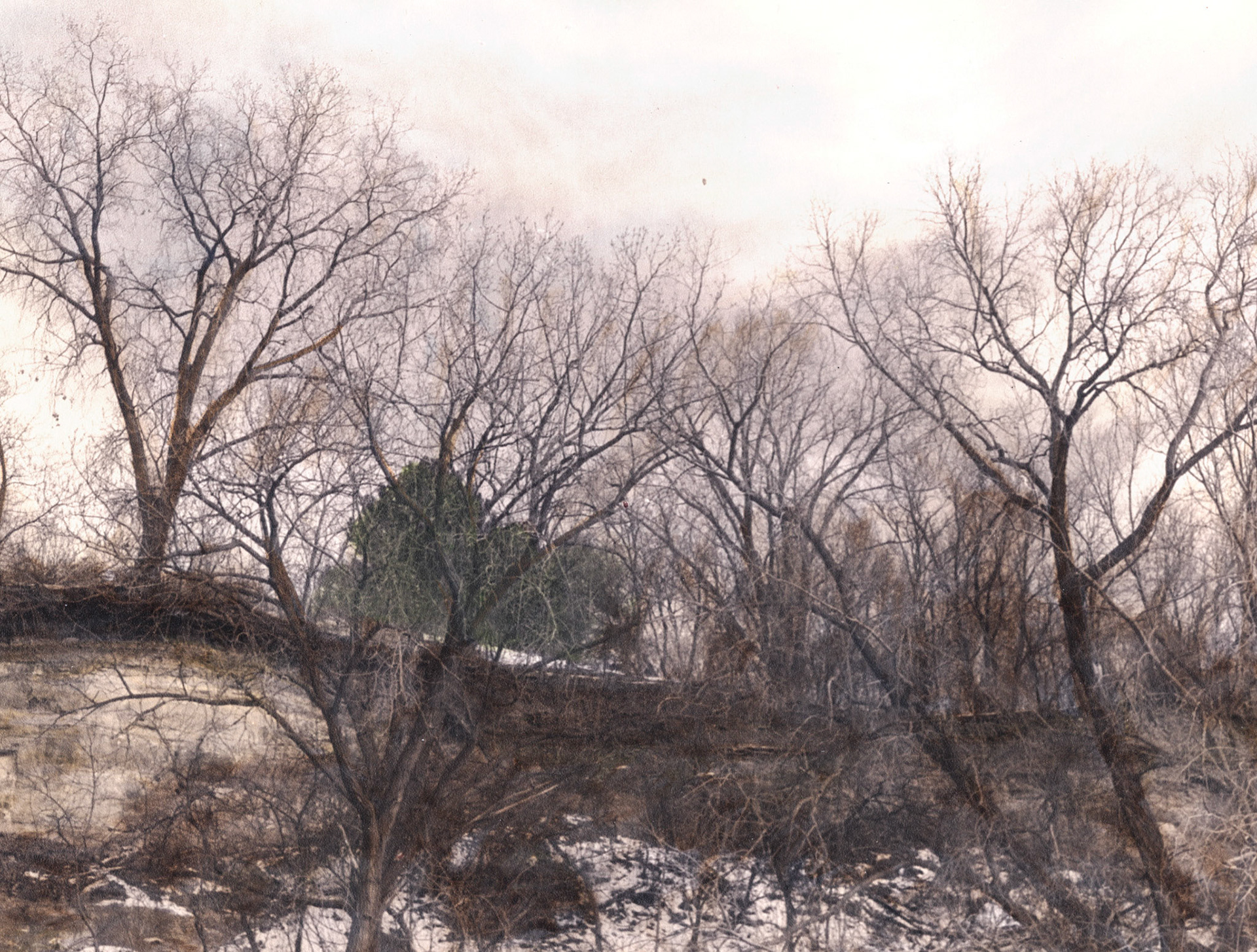 Bruce Vento Nature Sanctuary, St. Paul, MN