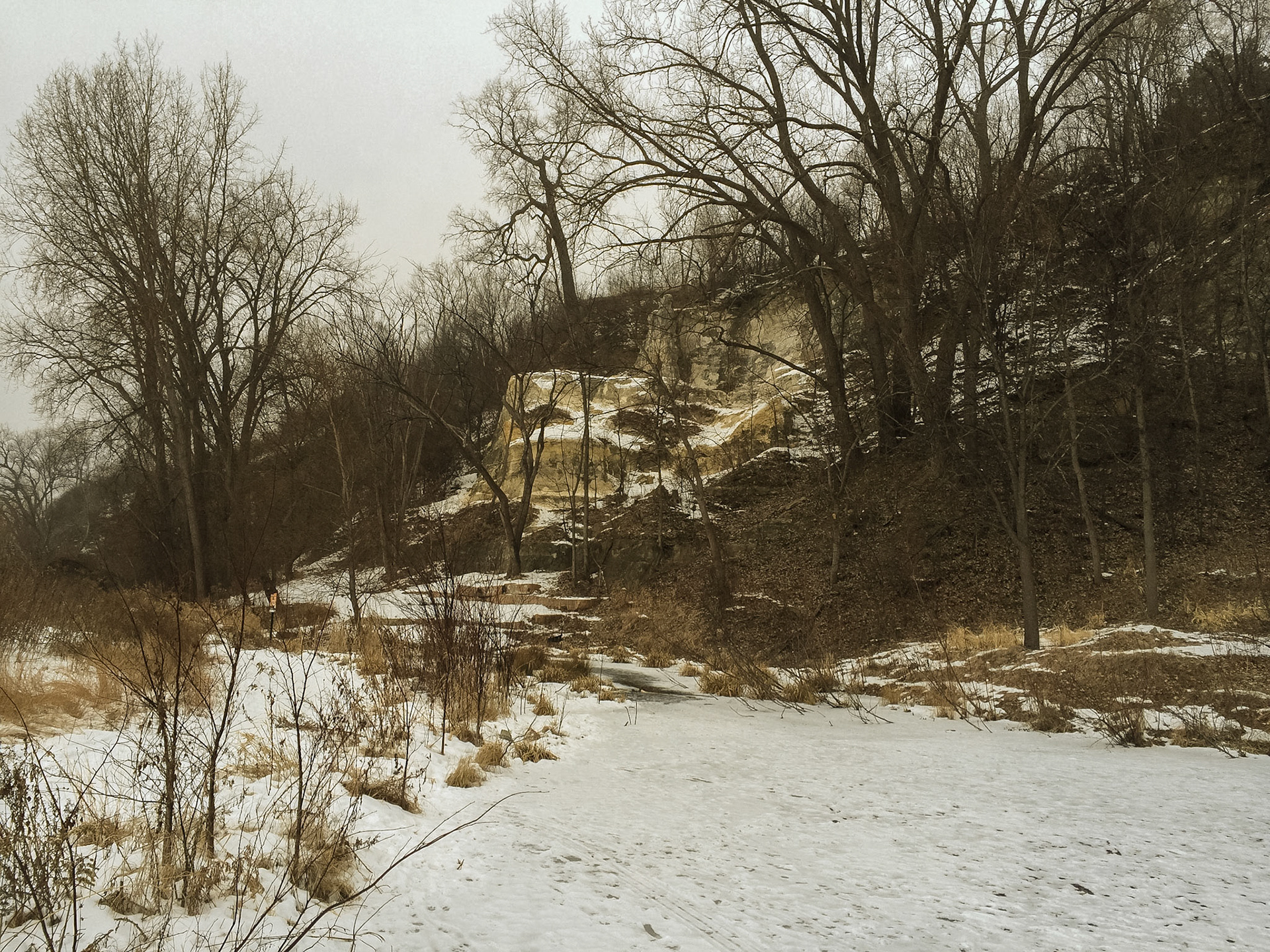 Bruce VEnto Nature Sanctuary, Saint Paul, MN