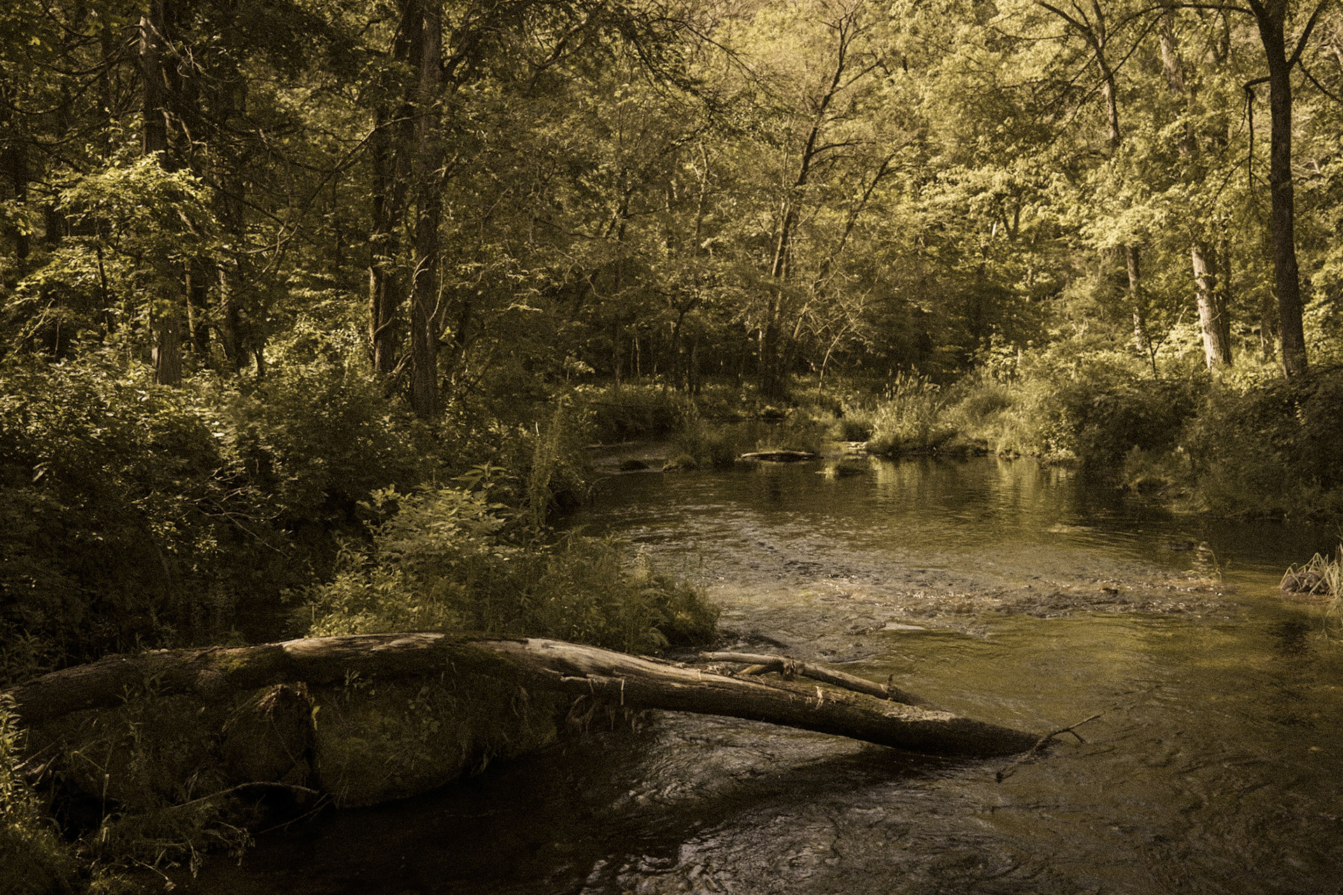 Back Bone State Park, Iowa