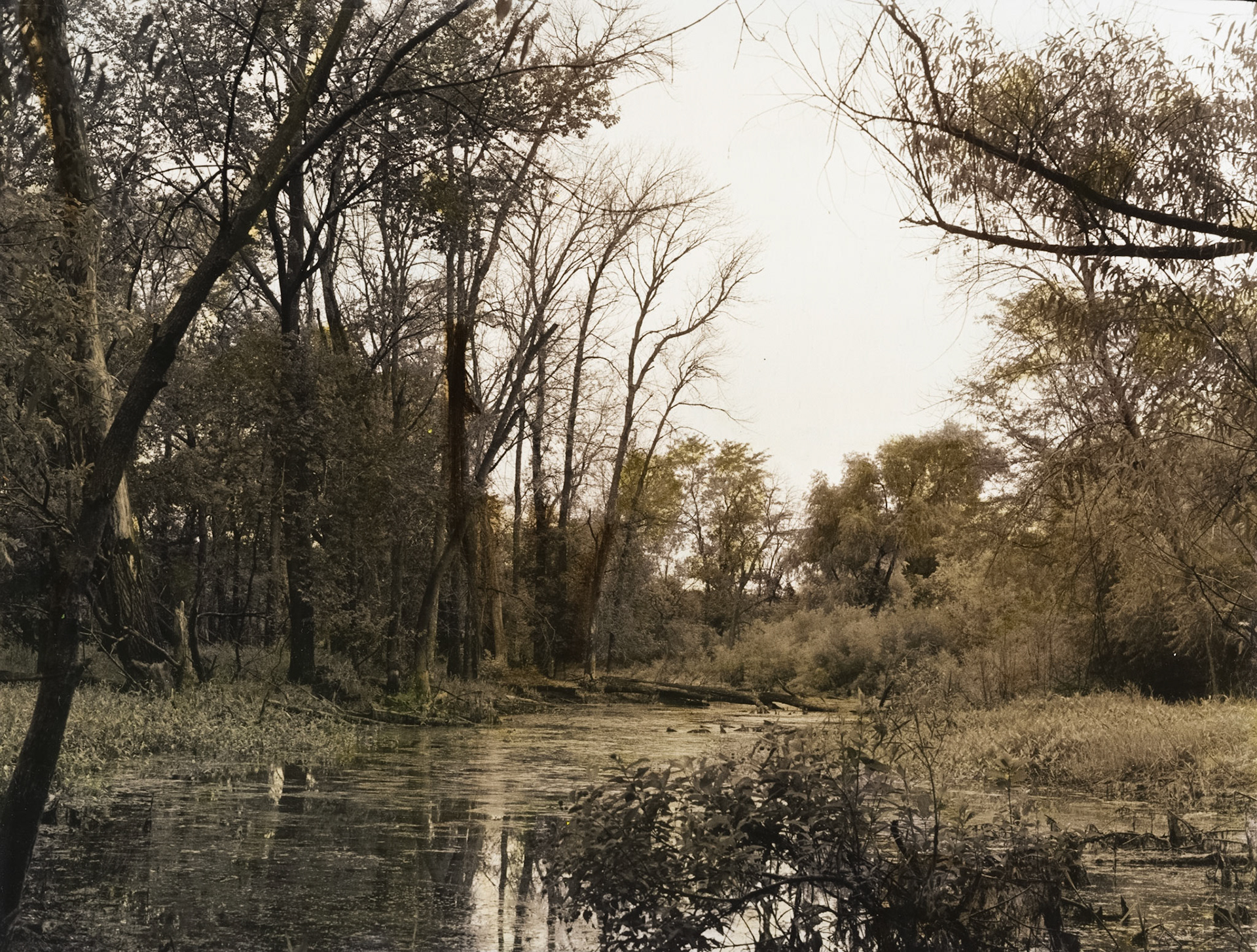 George Wyth State Park, Waterloo, Iowa