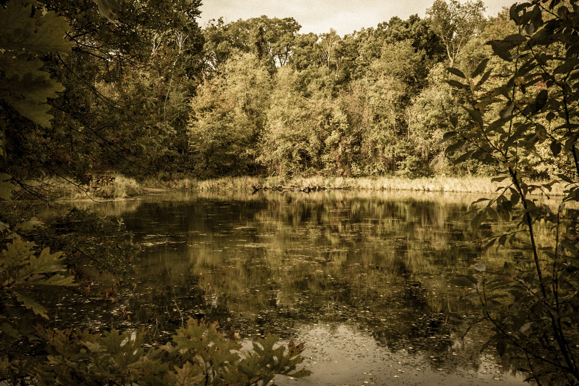 Leganon Hills Regional Park, Dakota County, Minnesota, 2025-4997