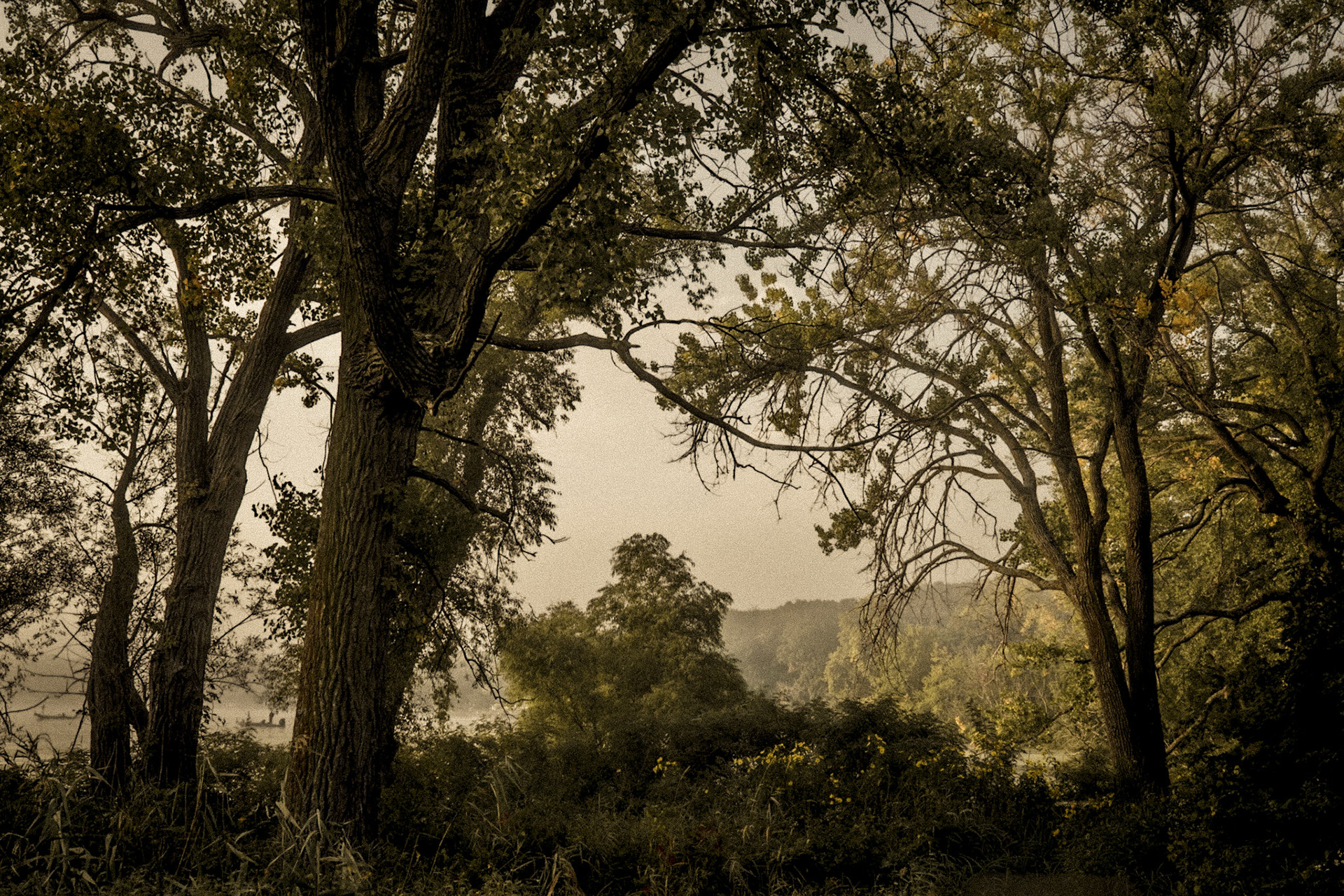 Iowa Lakeside Laboratory