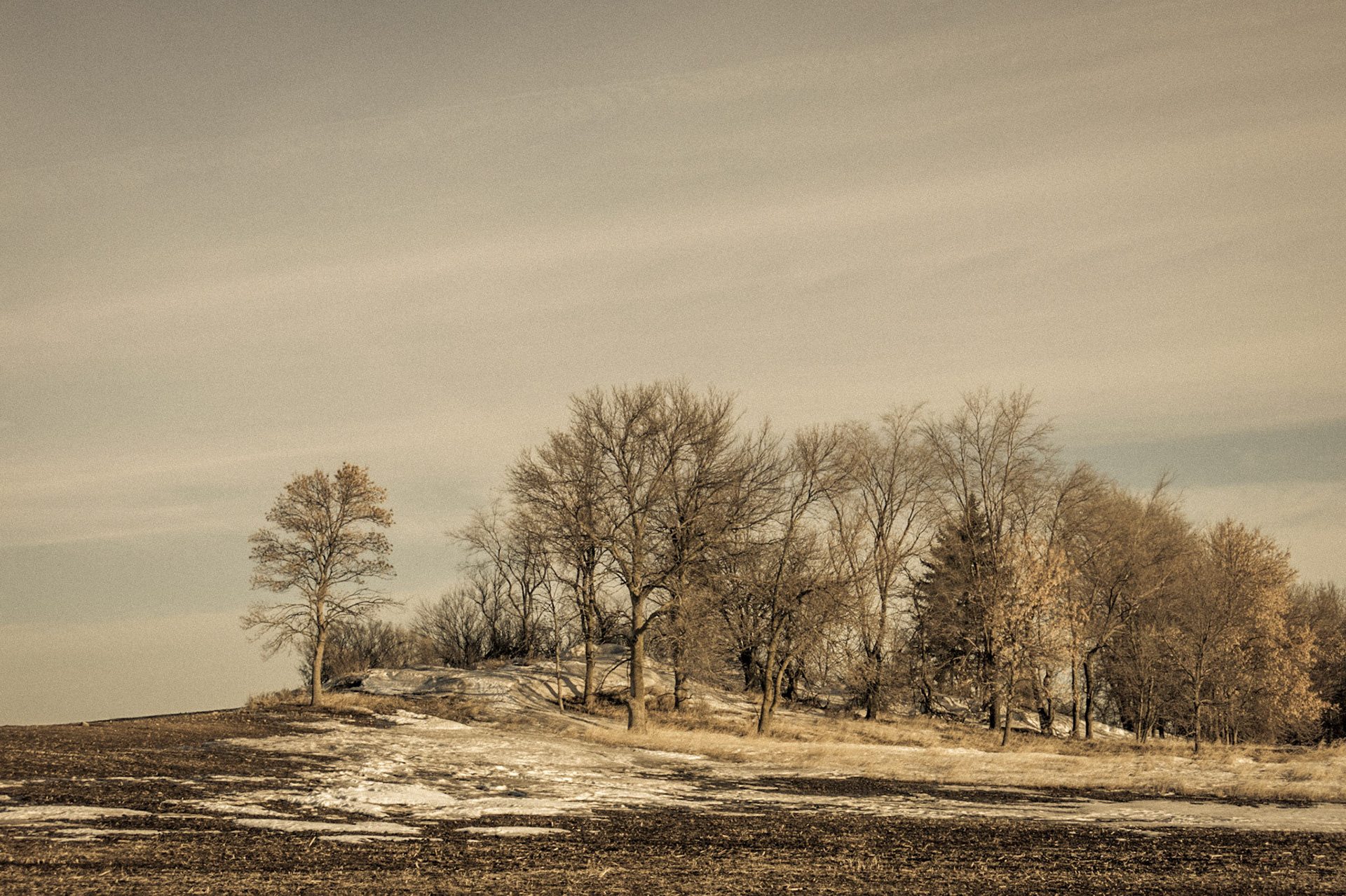 Minneota Township, Jackson County, Minnesota, 2014-0310