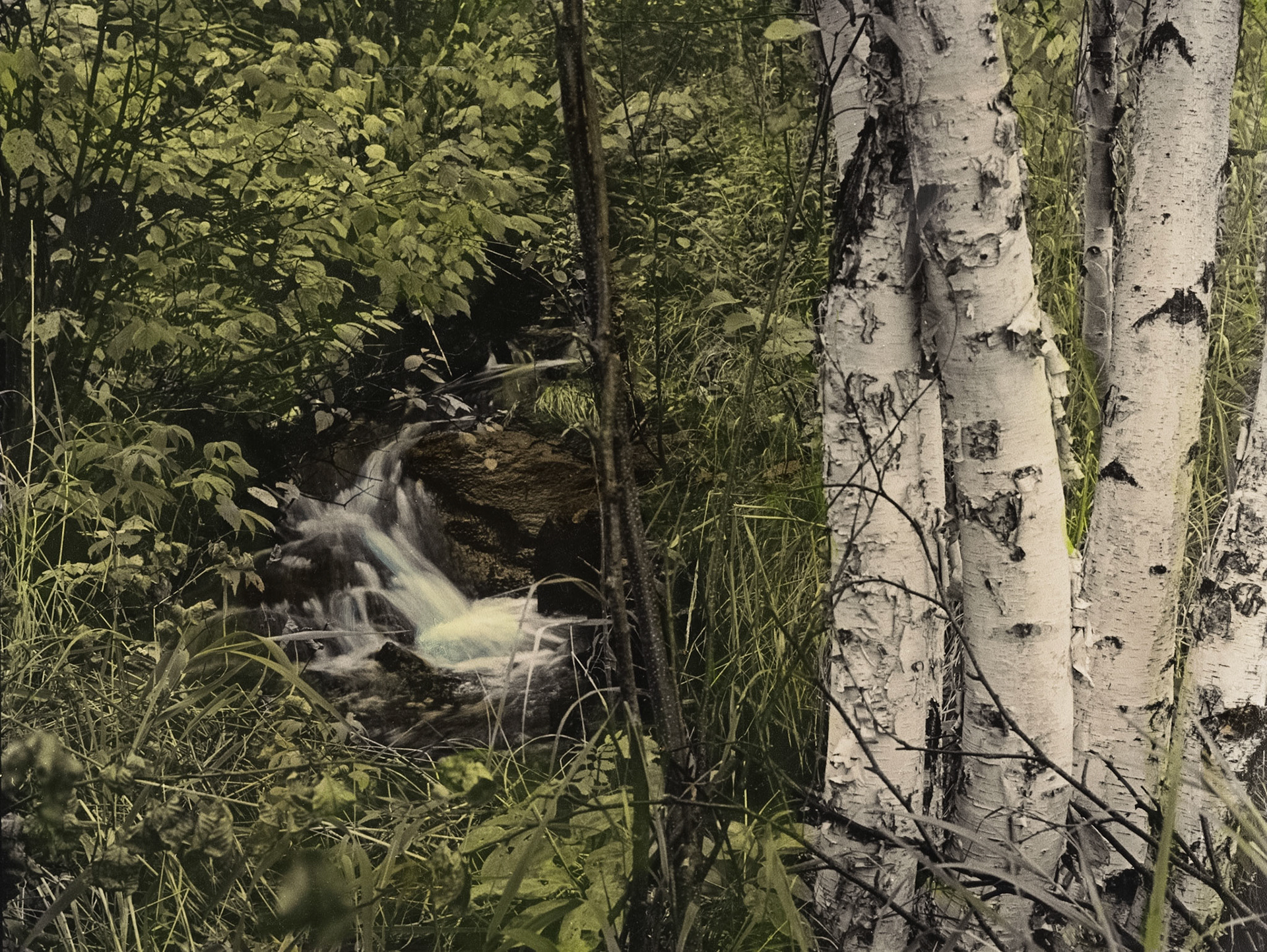 Beaver Bay, behind Cove Point Lodge