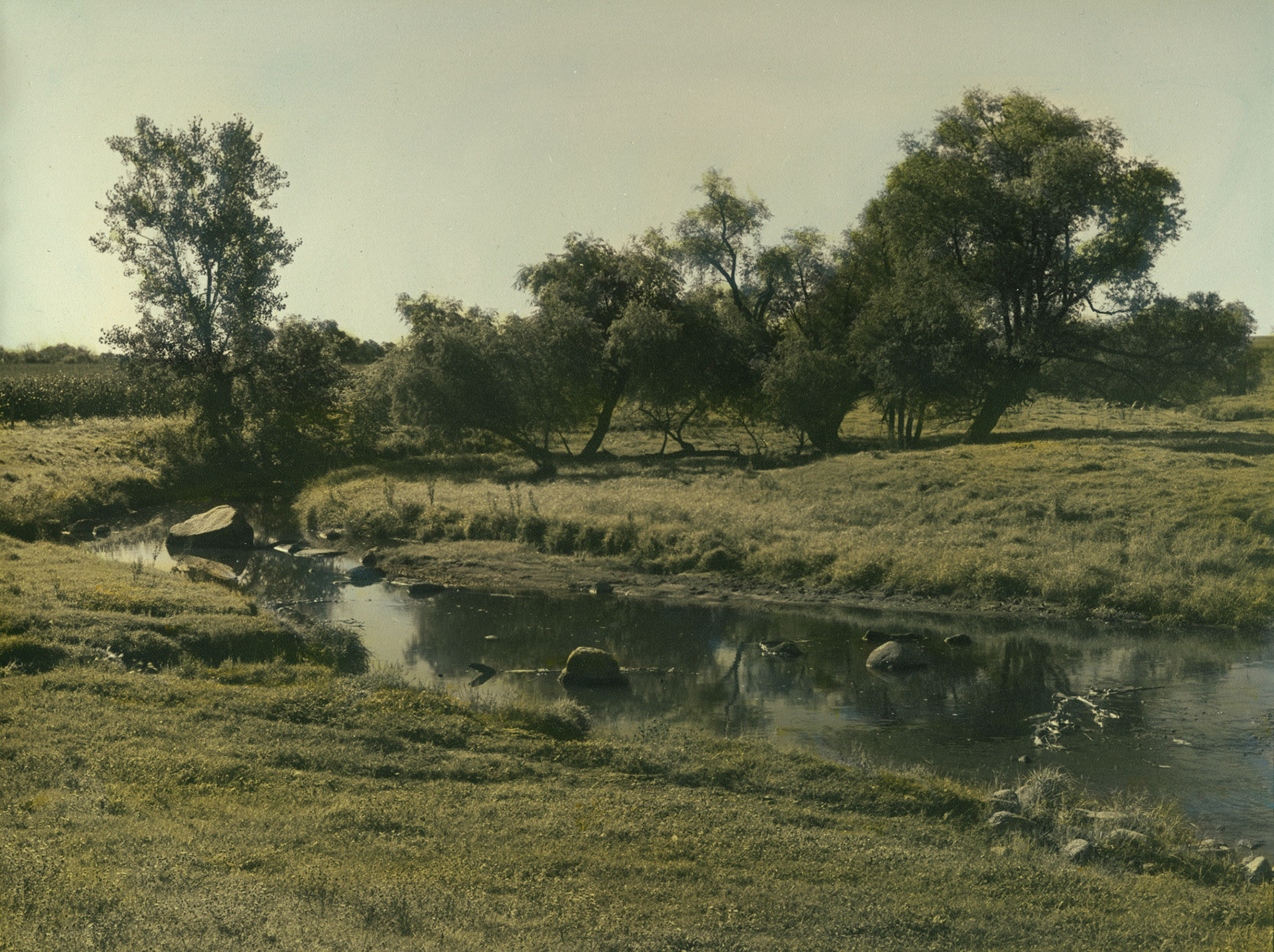 Cottonwood River Prairie