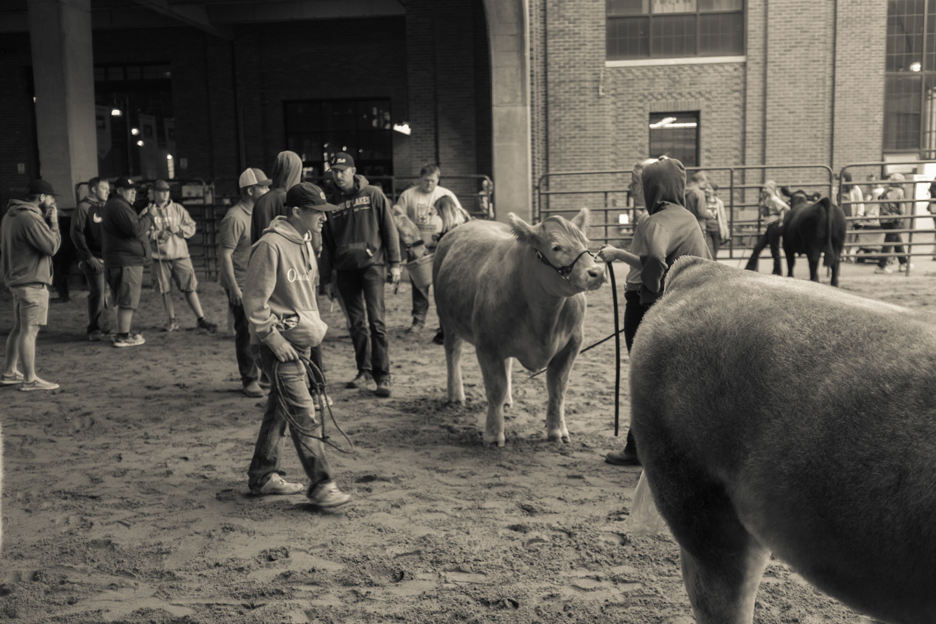 Minnesota State Fair