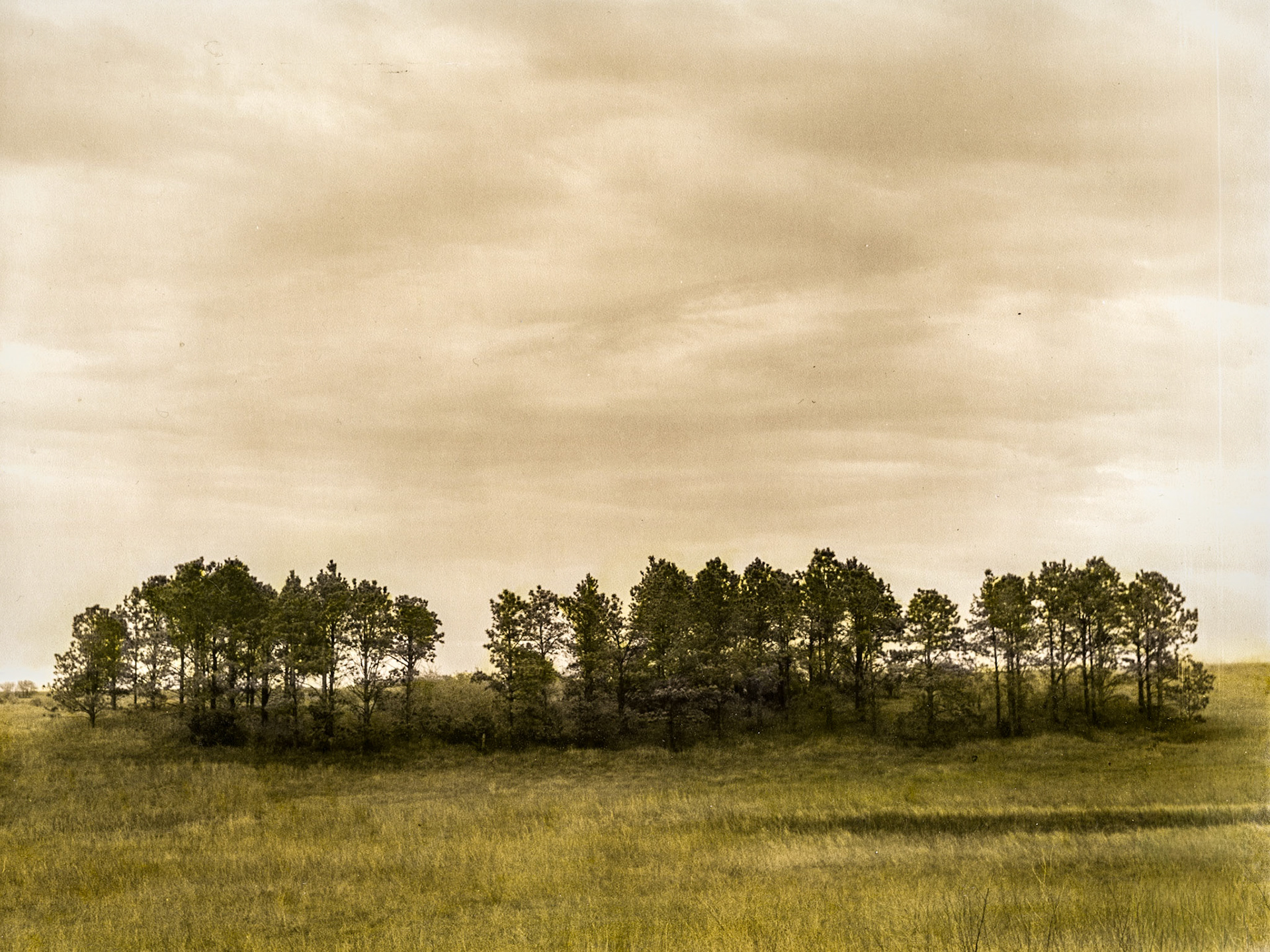 Sangle Slough, Jackson County, Minnesota, 2017-05-45