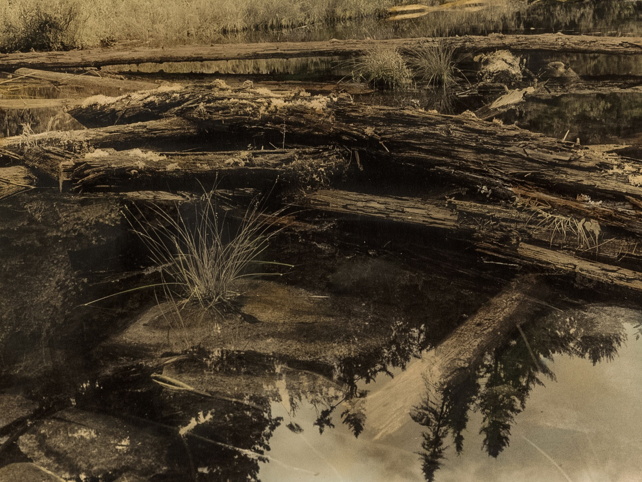 Landscape, Minnesota