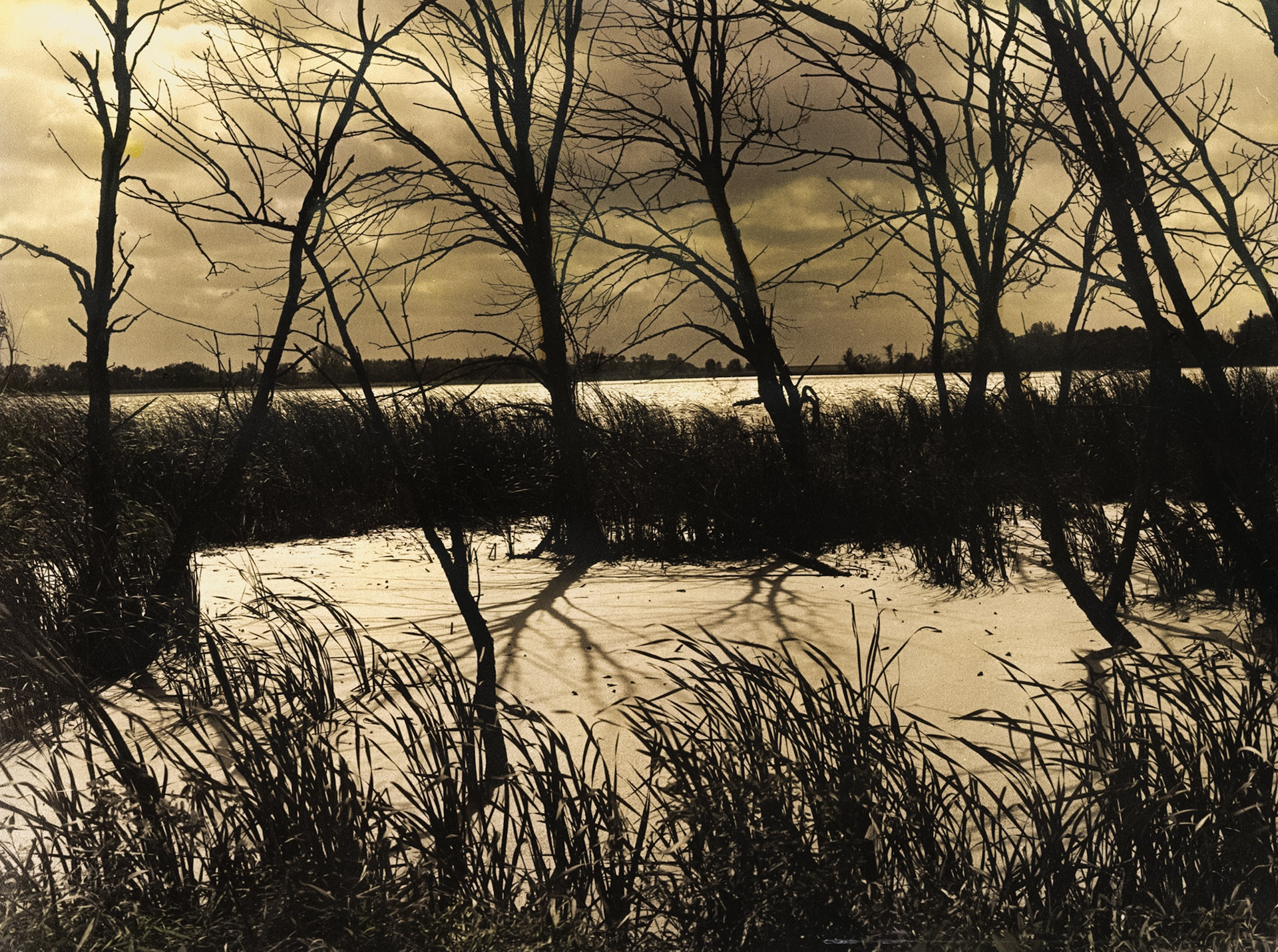 Skunk Lake, Jackson County, Minnesota