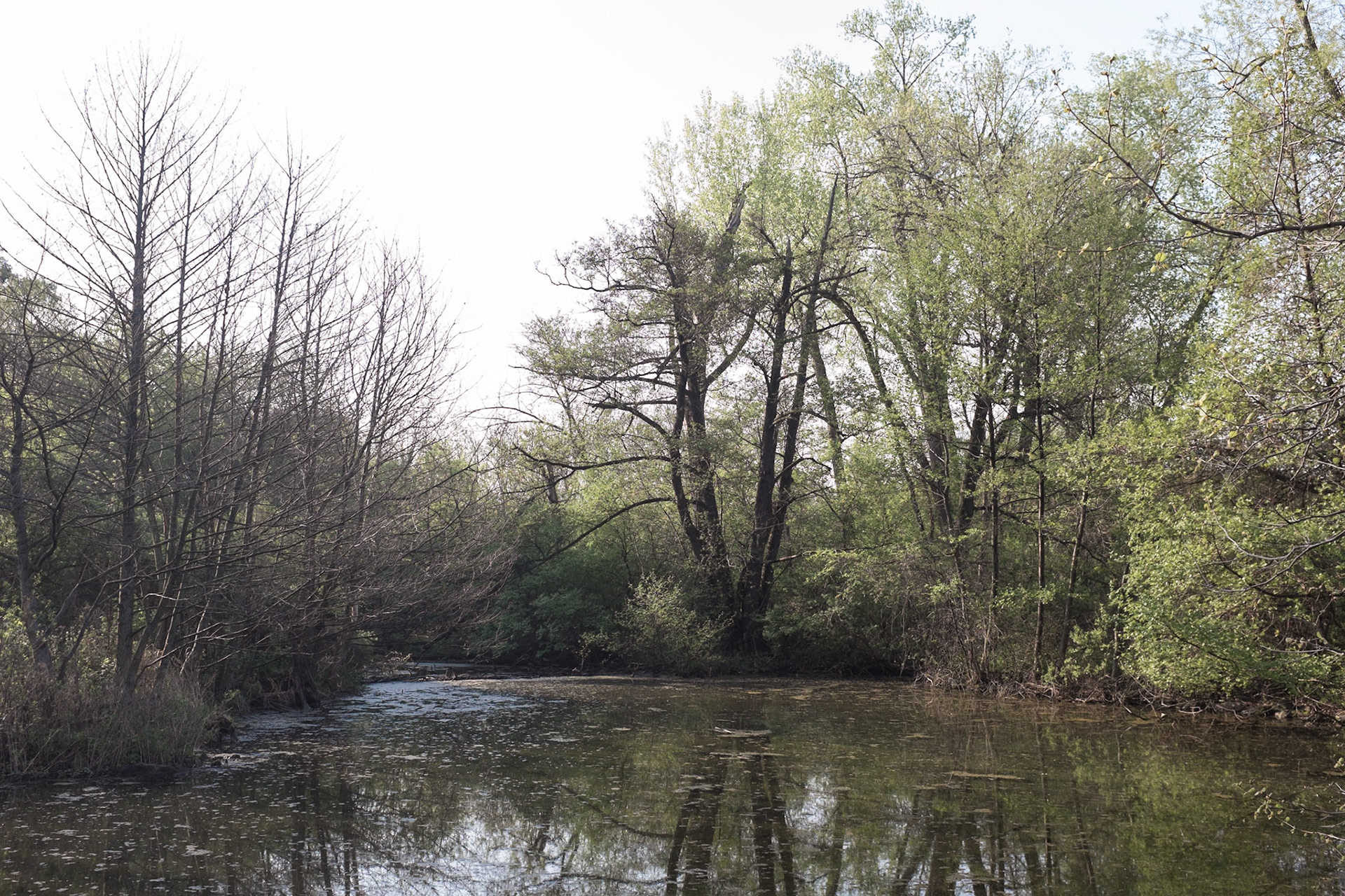 University of Wisconsin Arboretum, Madison, WI