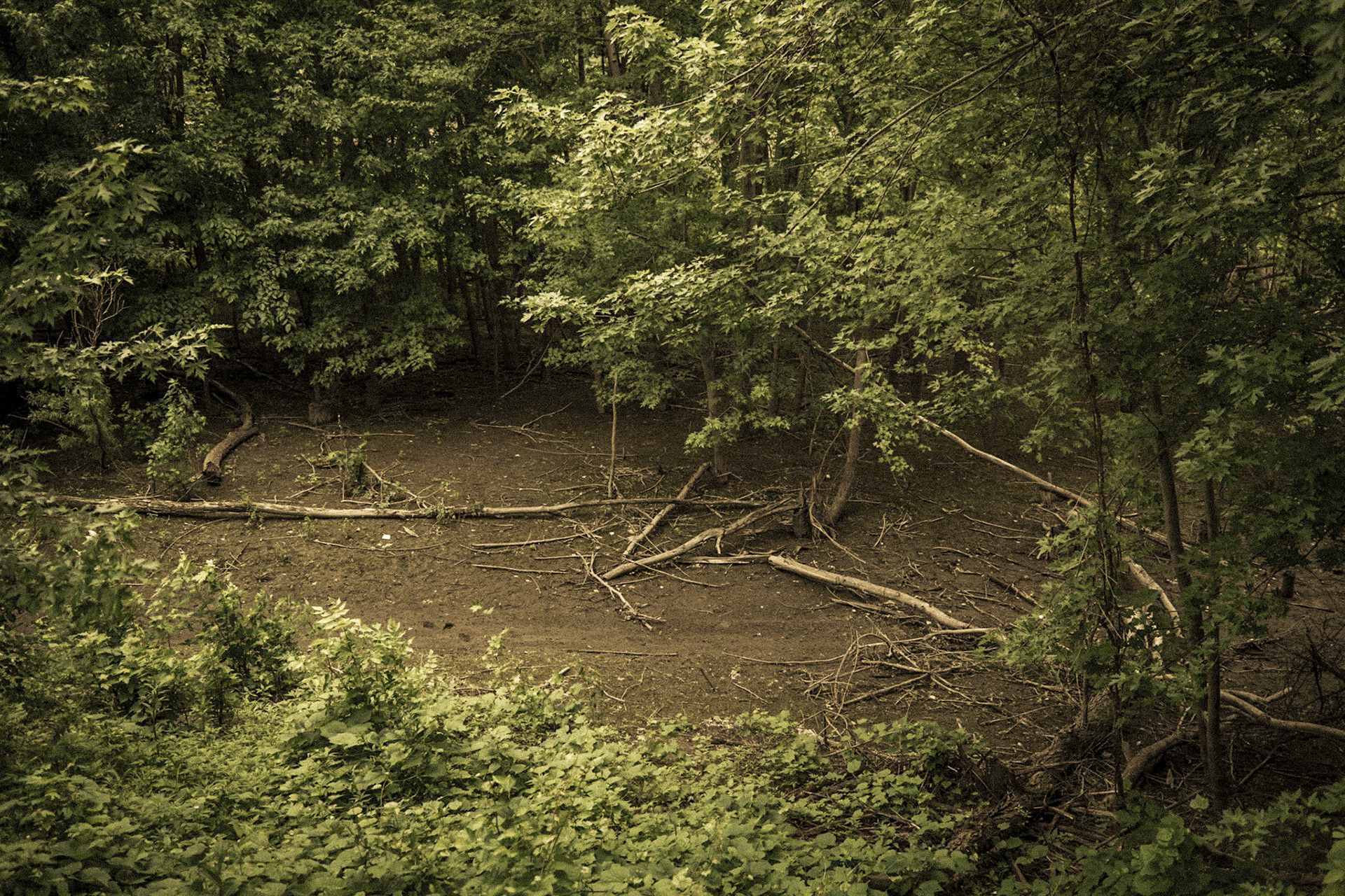 Mississippi National River Area, St. Paul, MN