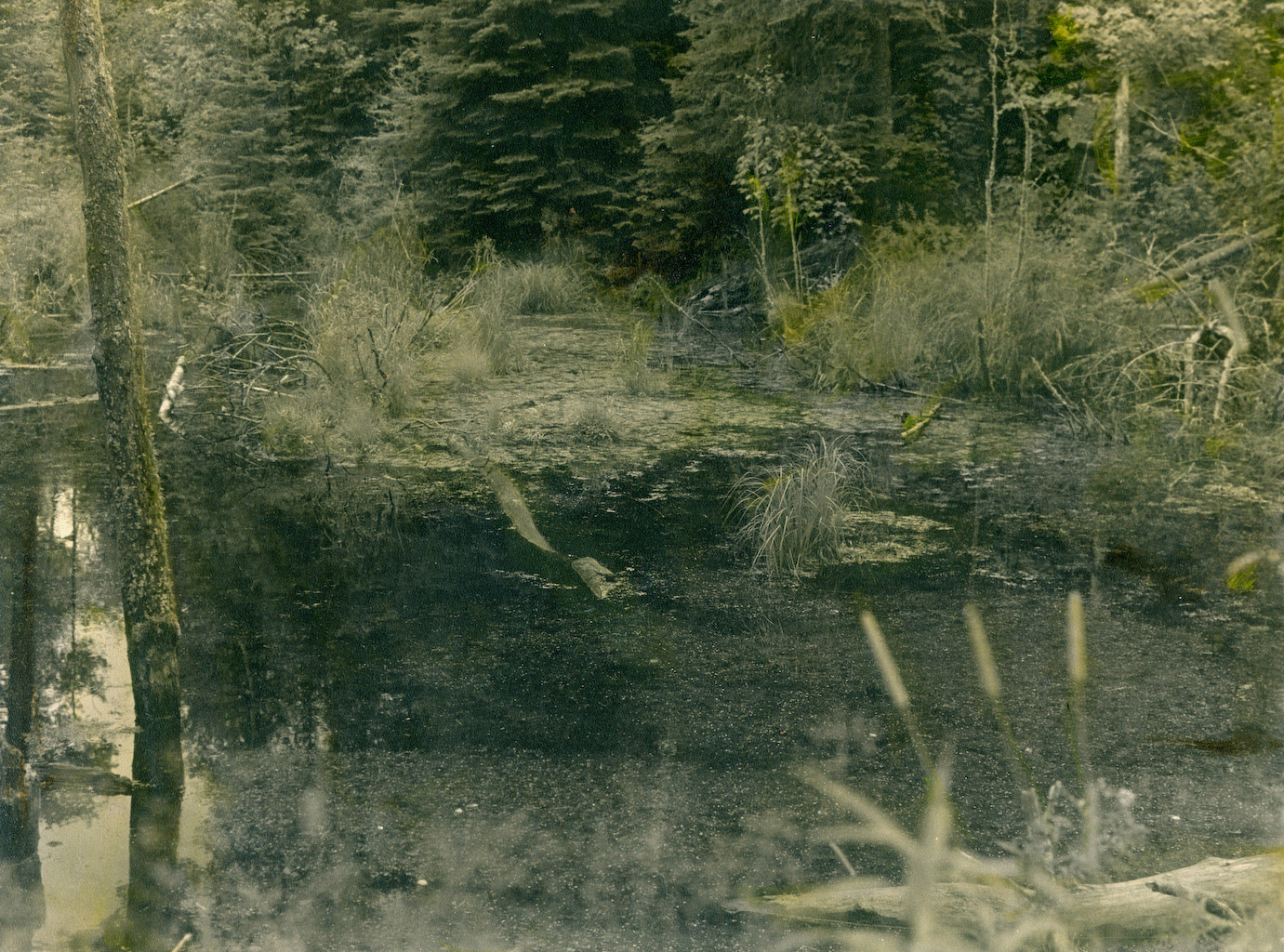 Lake One, Boundary Waters Canoe Area, Minnesota