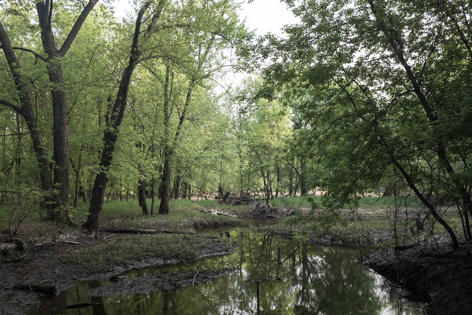 Minnsota Valley National Wildlife Refuge