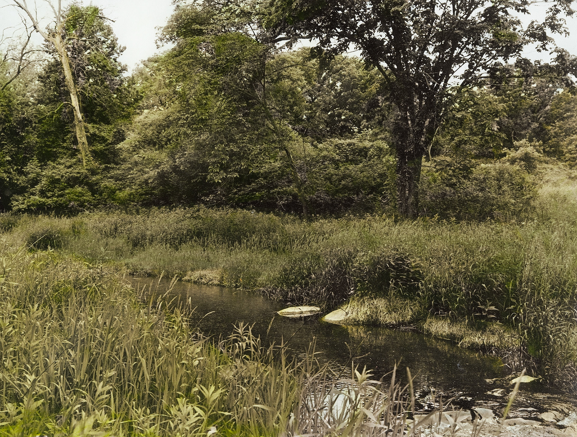 Cedar Mountain Scientific and Natural Area, Redwood County, Minnesota