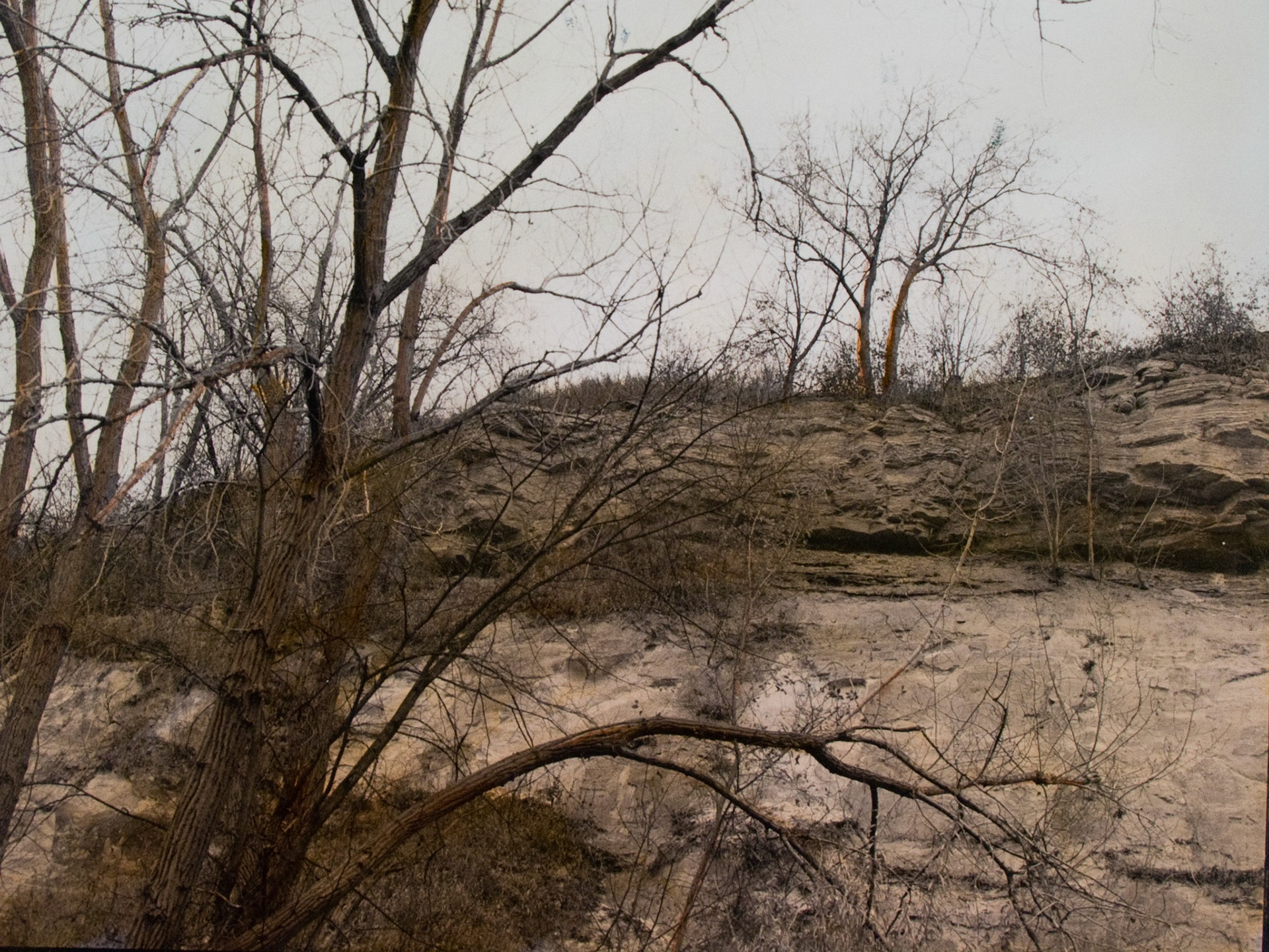 Bruce Vento Nature Sanctuary, MN