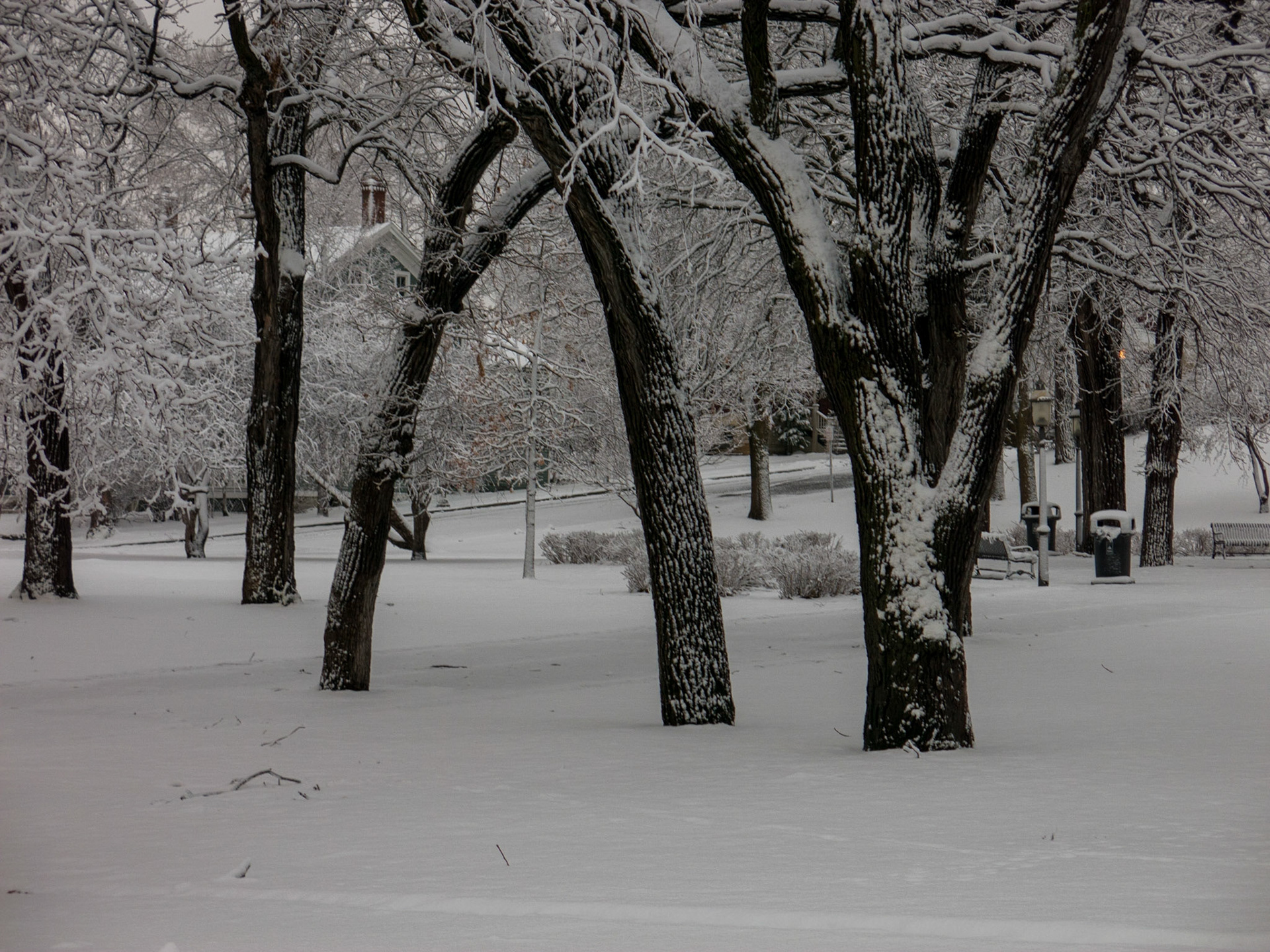 Irvine Park, St. Paul, MN