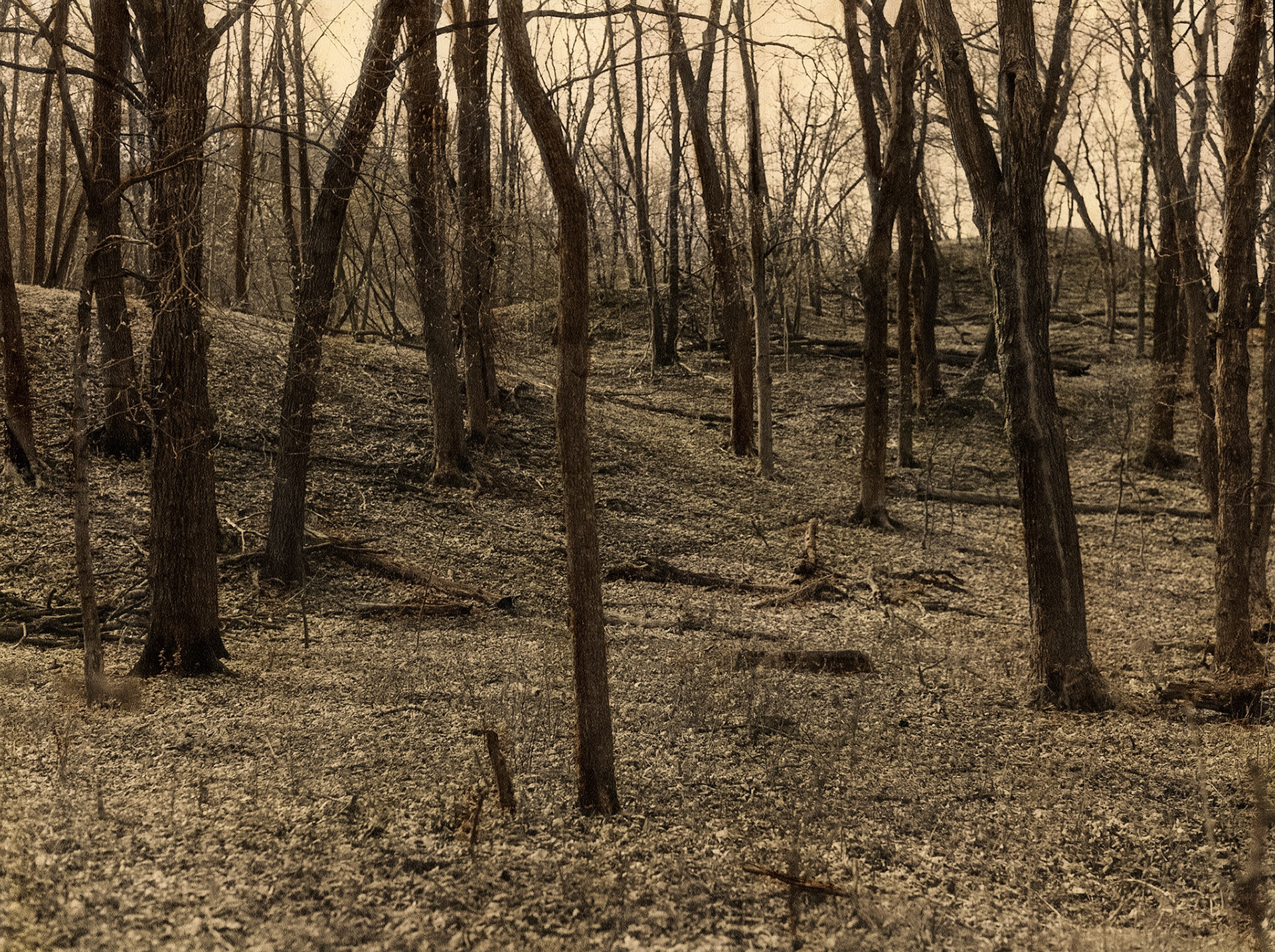 Camden State Park, Minnesota