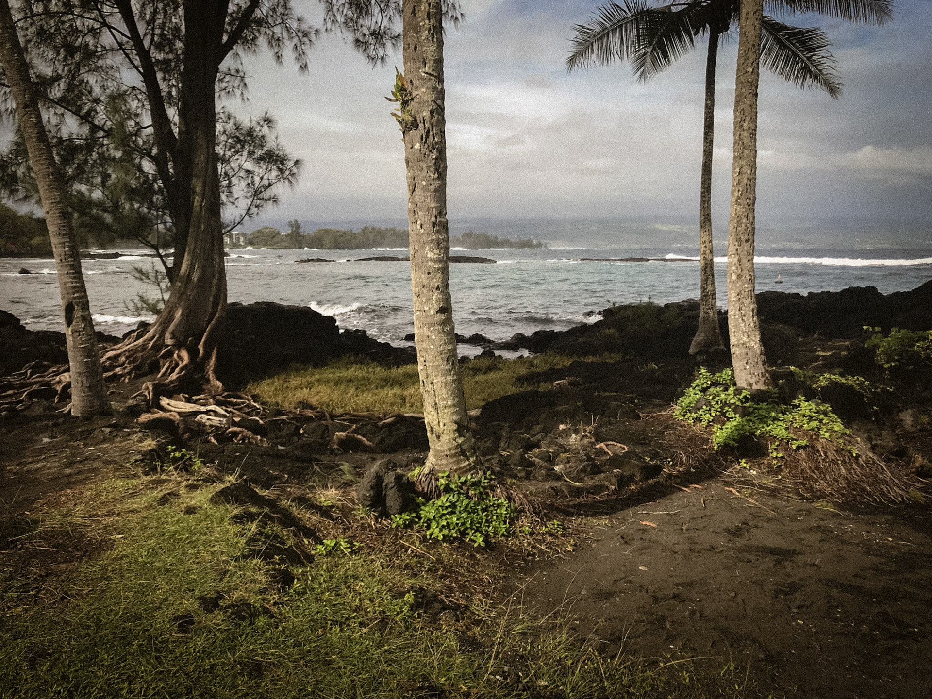 Richardson Ocean Park, Hilo, HI. Jan 14