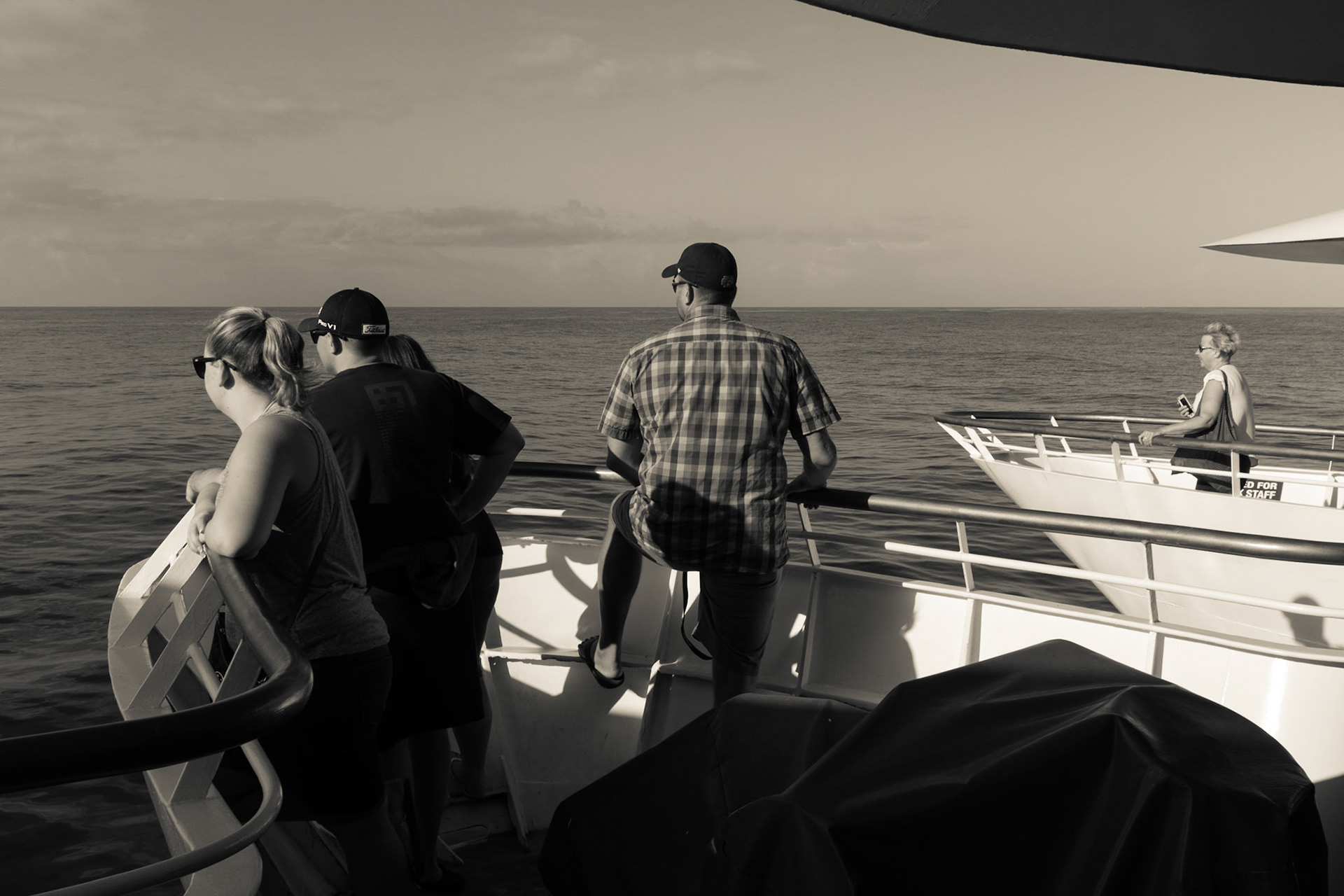 Whale Watch, Honolulu, I